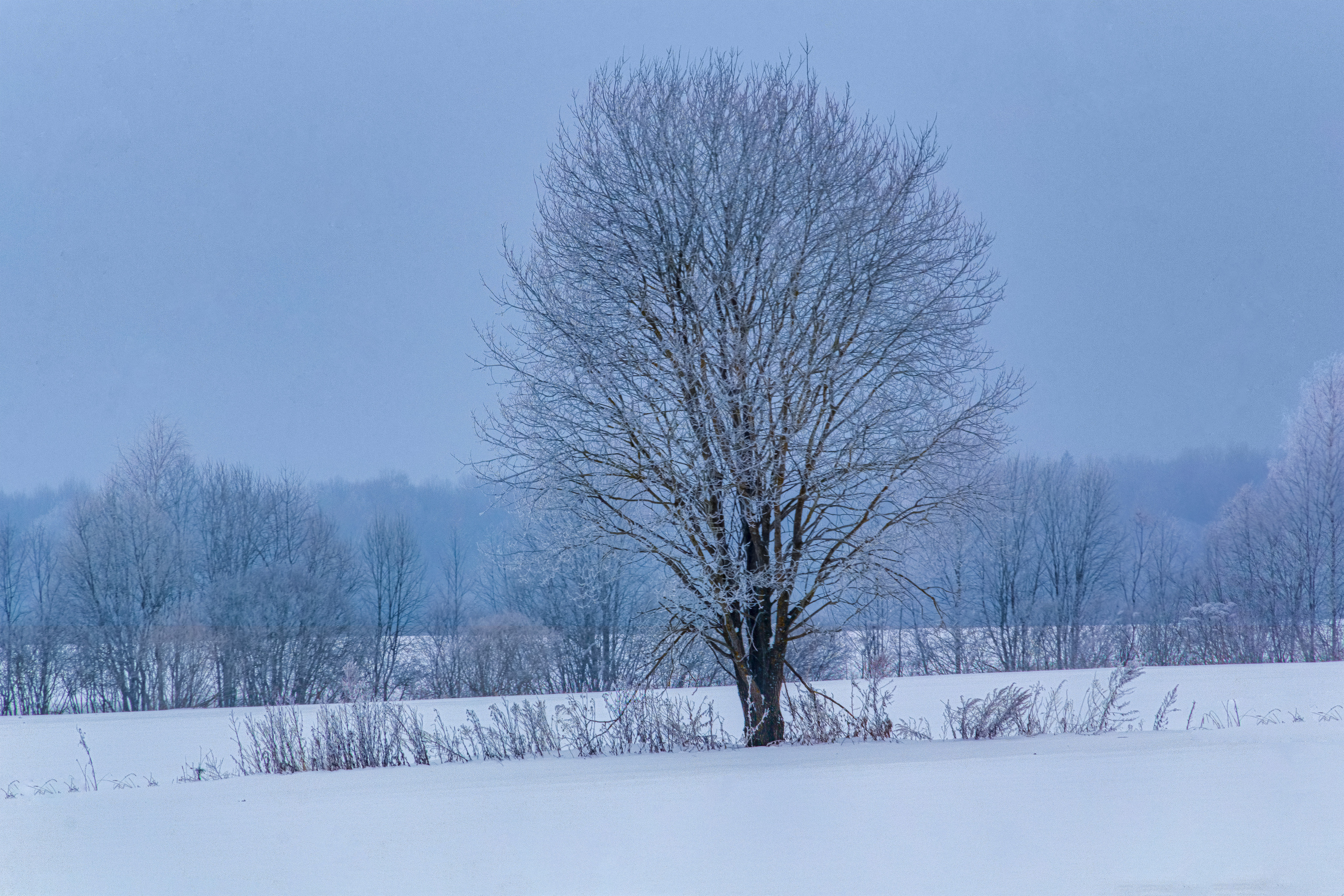 Фото Павла Крайникова