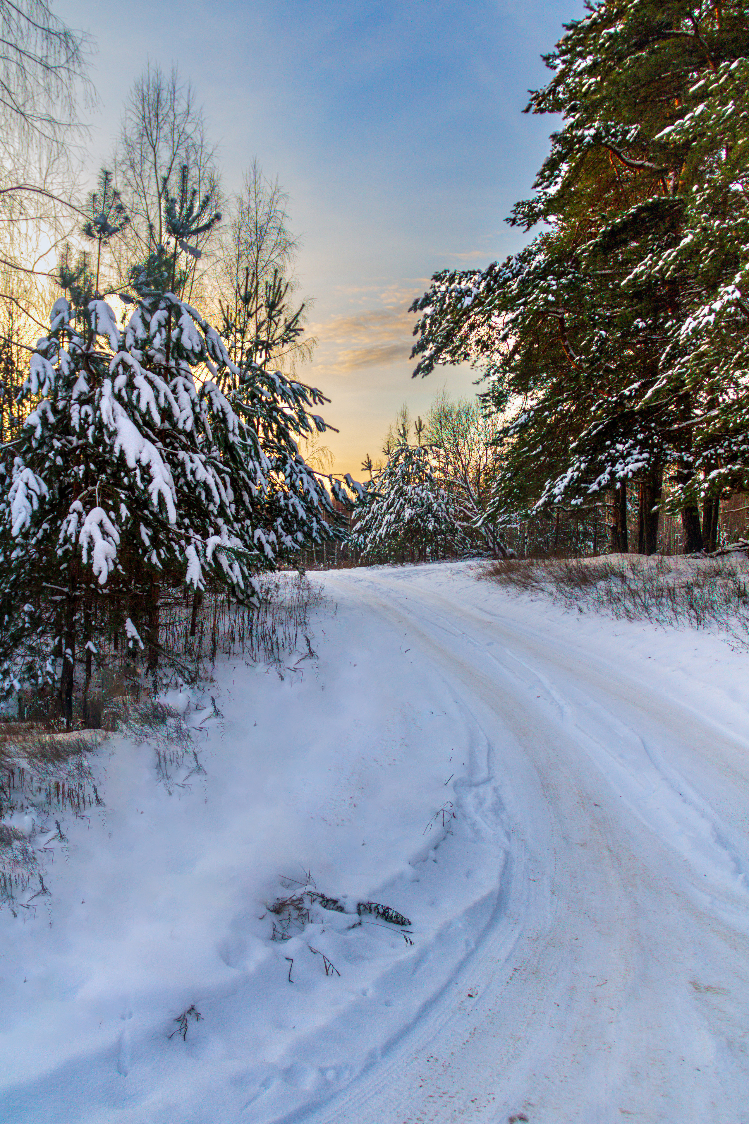 Фото Павла Крайникова