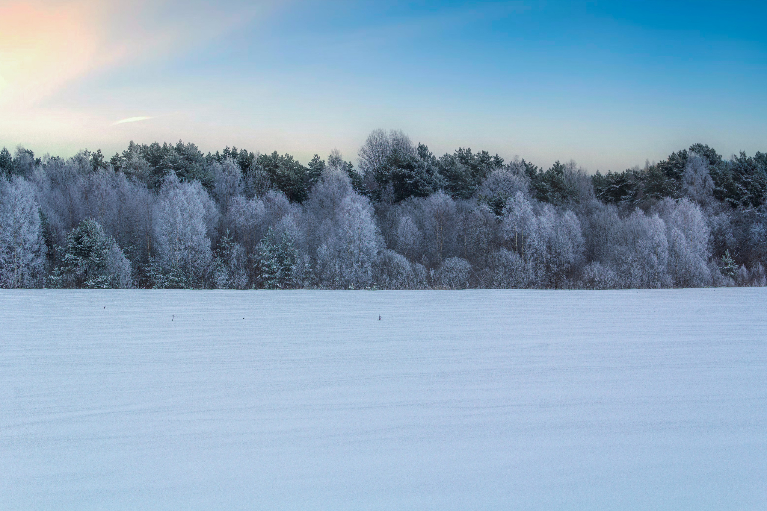 Фото Павла Крайникова