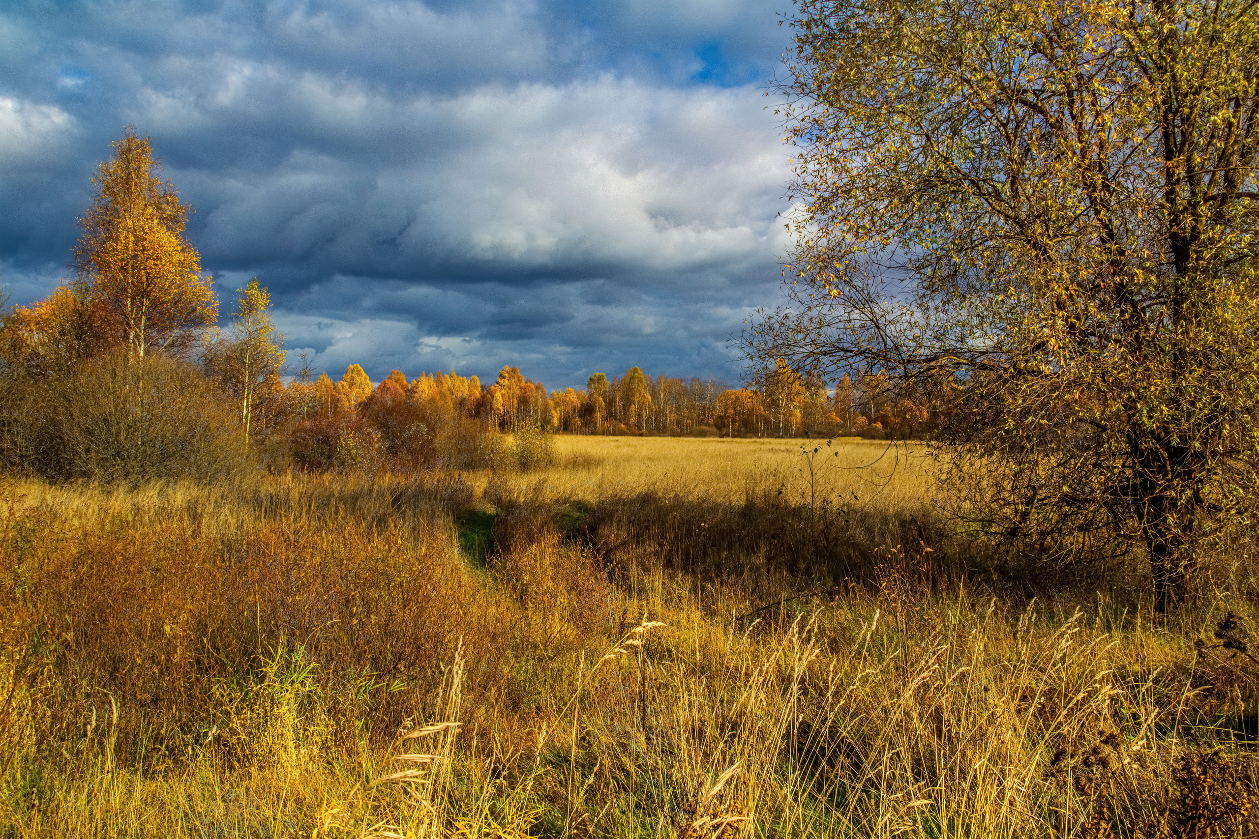 Природа Старицкого края. Осень. Сайт пейзажного фотографа Павла Крайникова