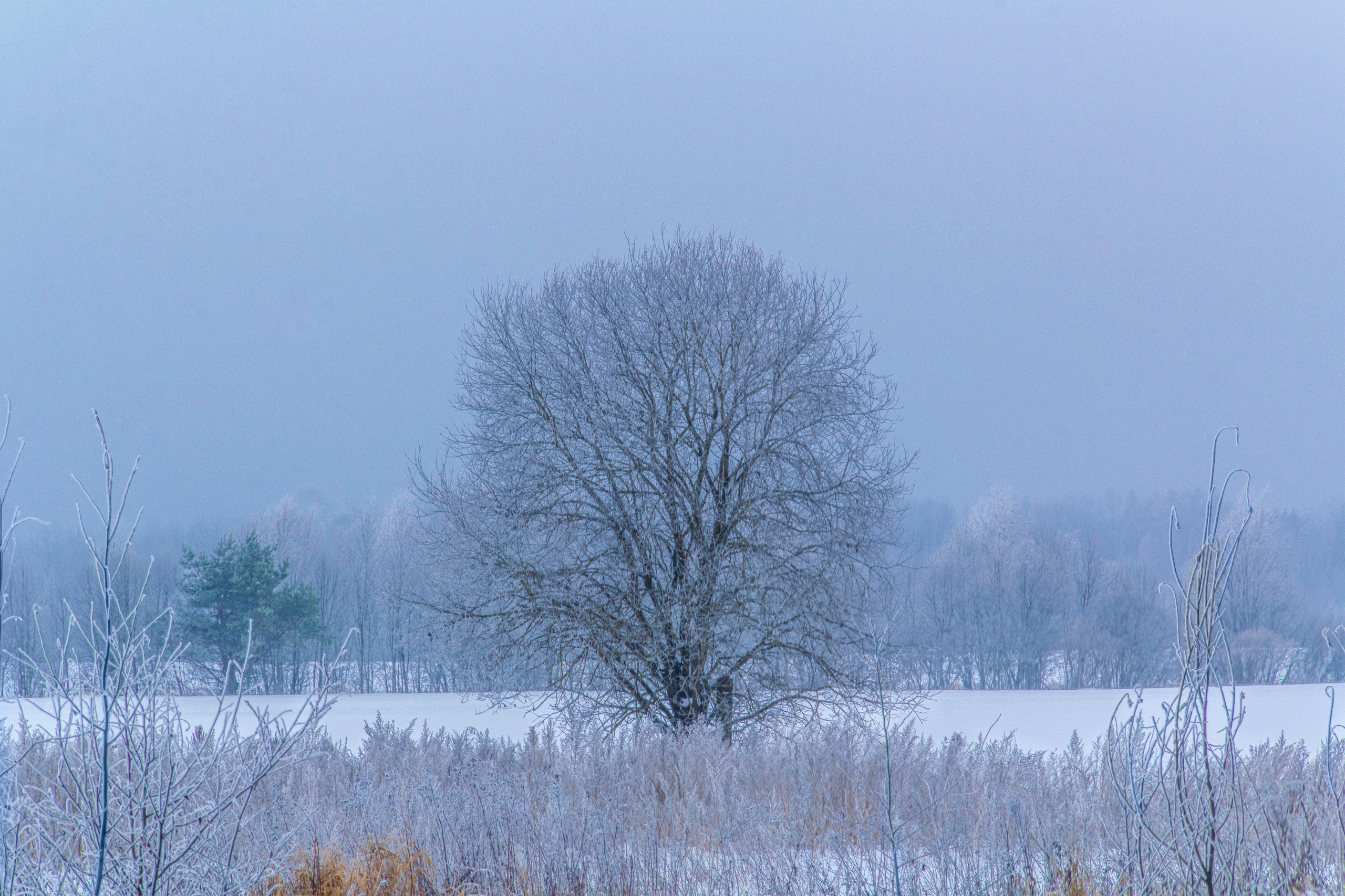 Фото Павла Крайникова
