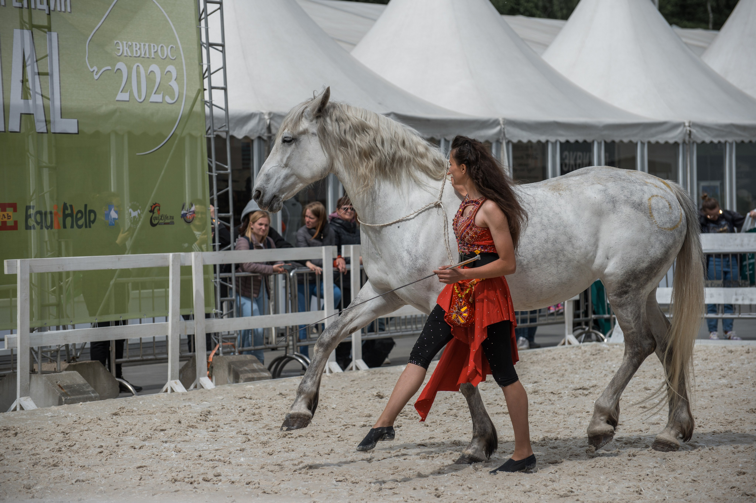 Эквирос, Москва. Конный фотограф в Саратове Юлия Иванова
