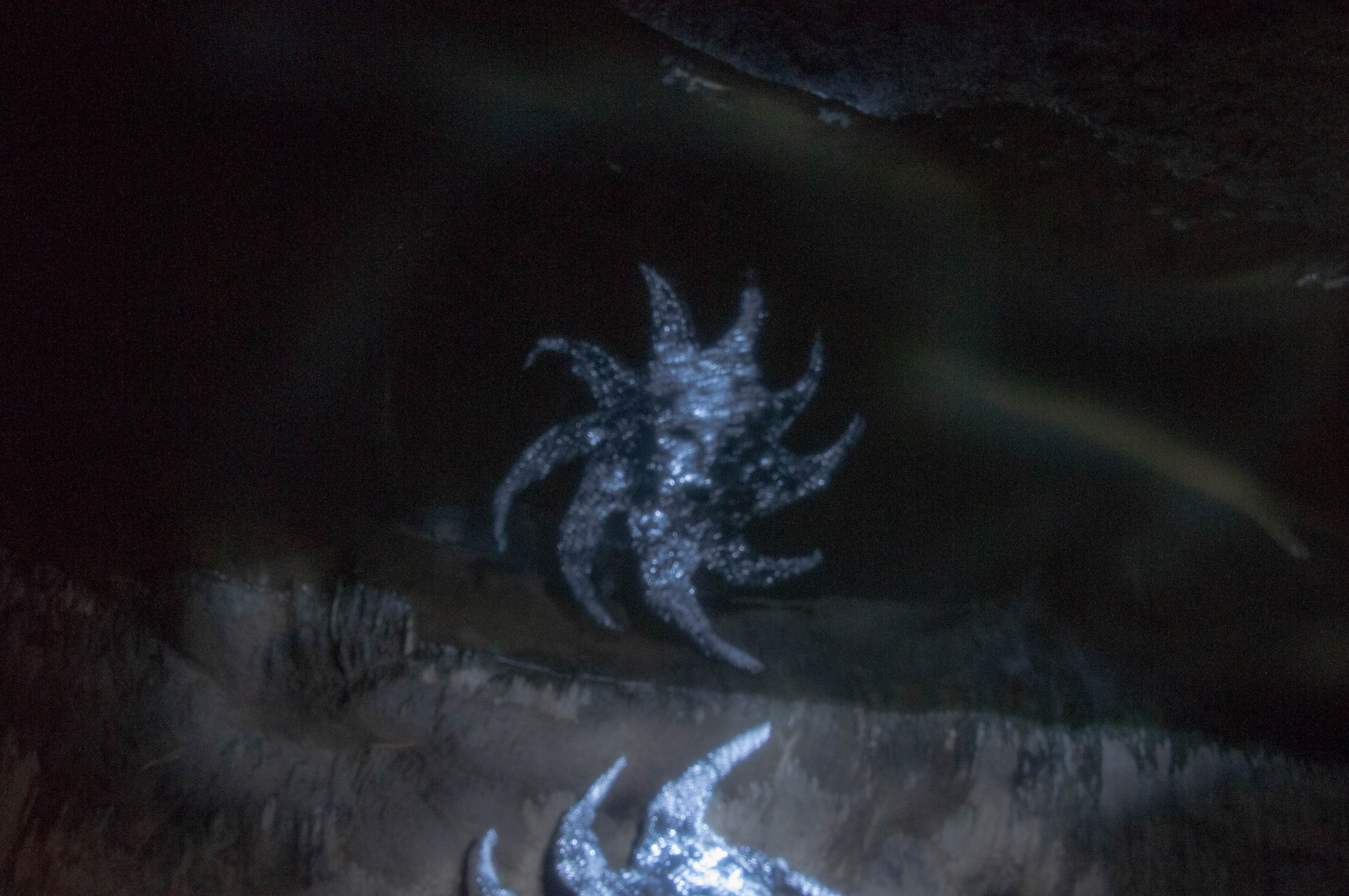 Творческие фотографии. Портретный фотограф в республике Алтай Юлия Шевченко