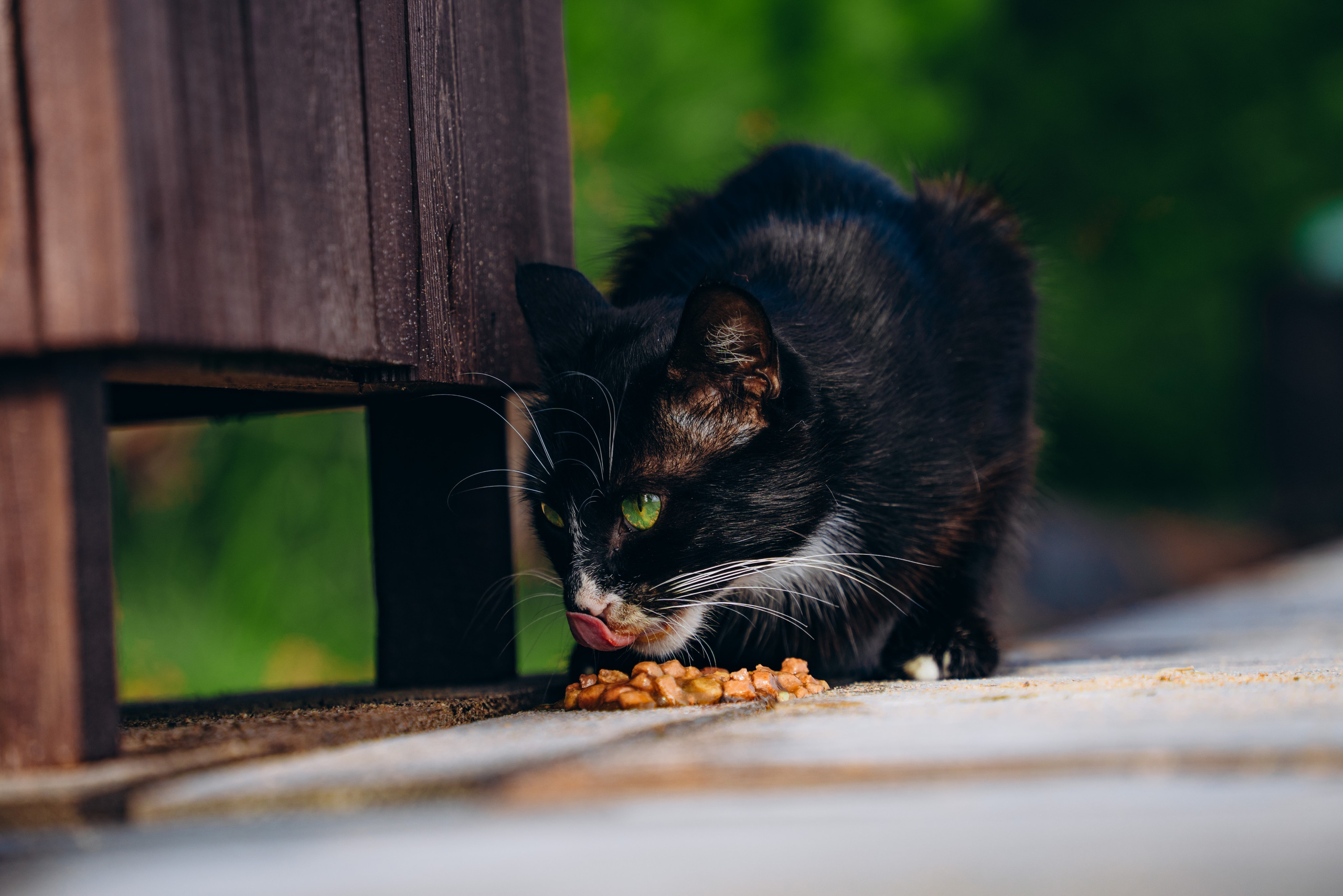 СЕВЕР. Event фотограф Степанова Александра