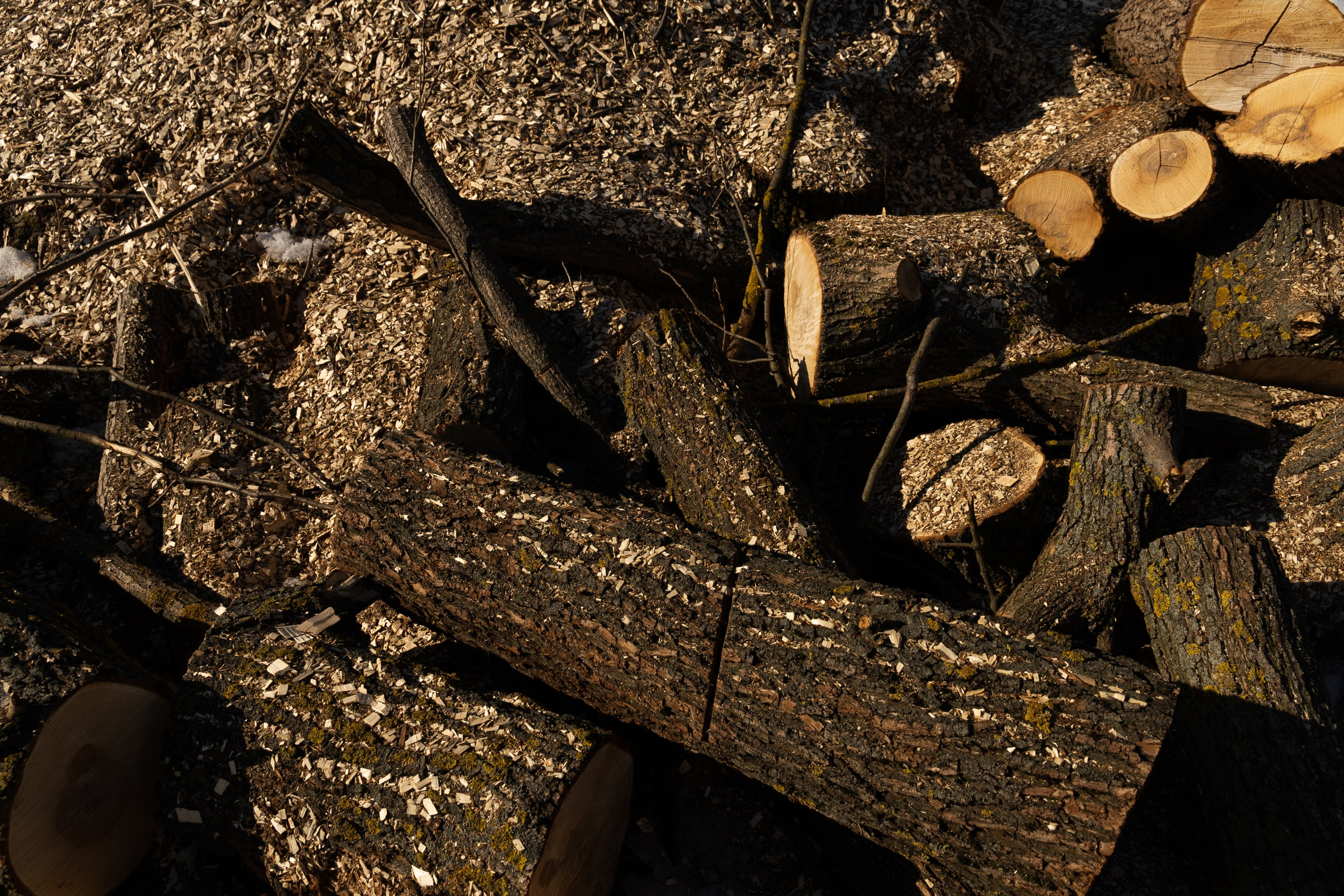 Я здесь живу. DASHA KALNINA