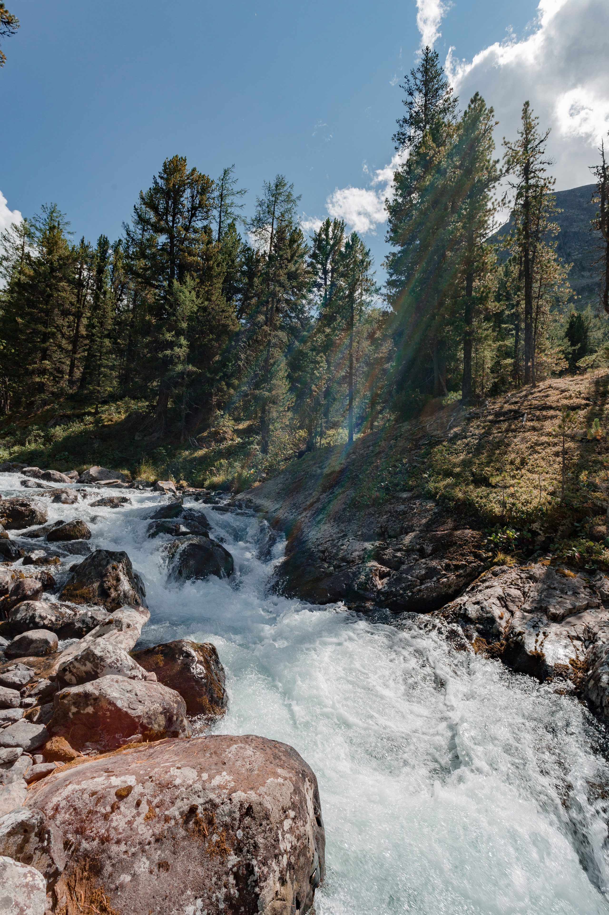 Катунский заповедник, Республика Алтай. Репортажный фотограф в Крыму Ксения Гасица
