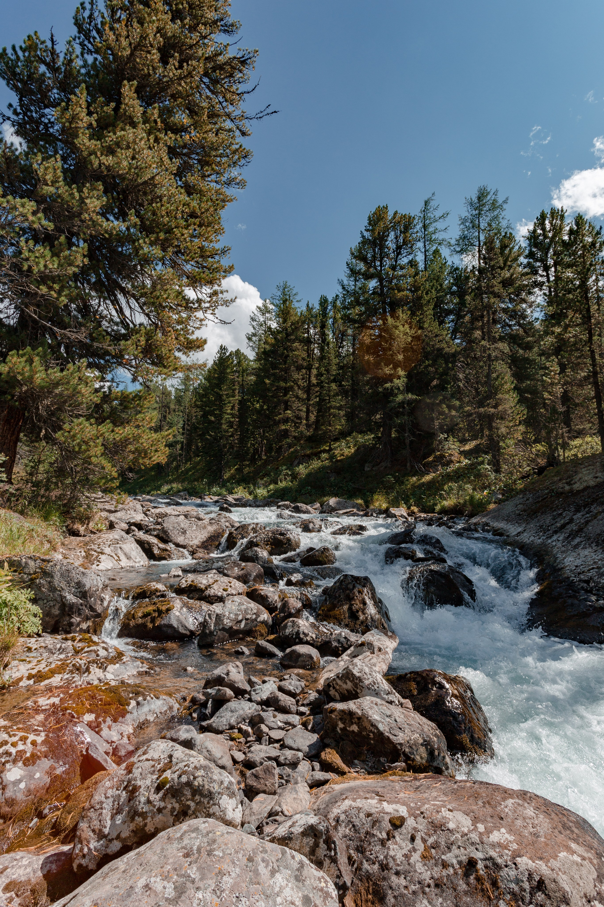 Катунский заповедник, Республика Алтай. Репортажный фотограф в Крыму Ксения Гасица