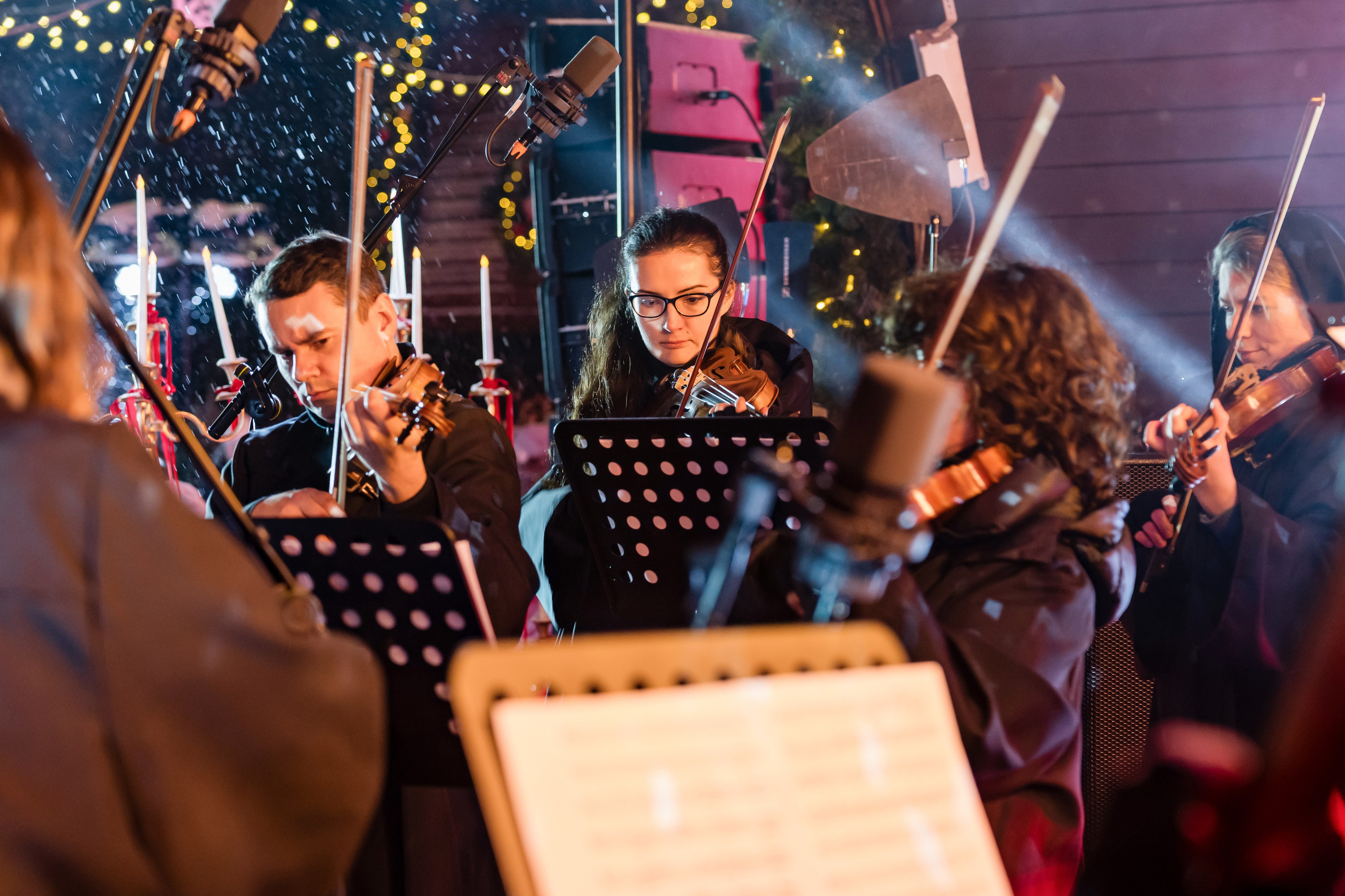 Ледяная симфония. Сад им. Баумана. 04.01.2025