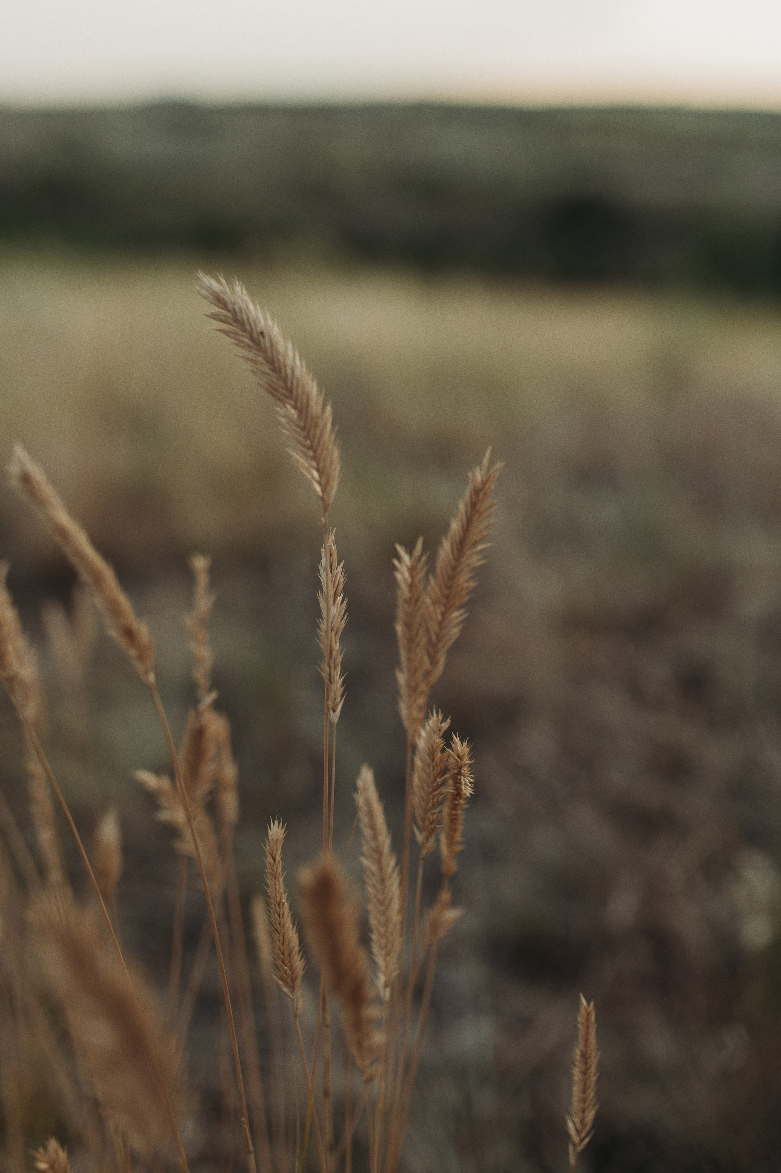 Настя, Рома, Тая. Www.ostermiller.ru