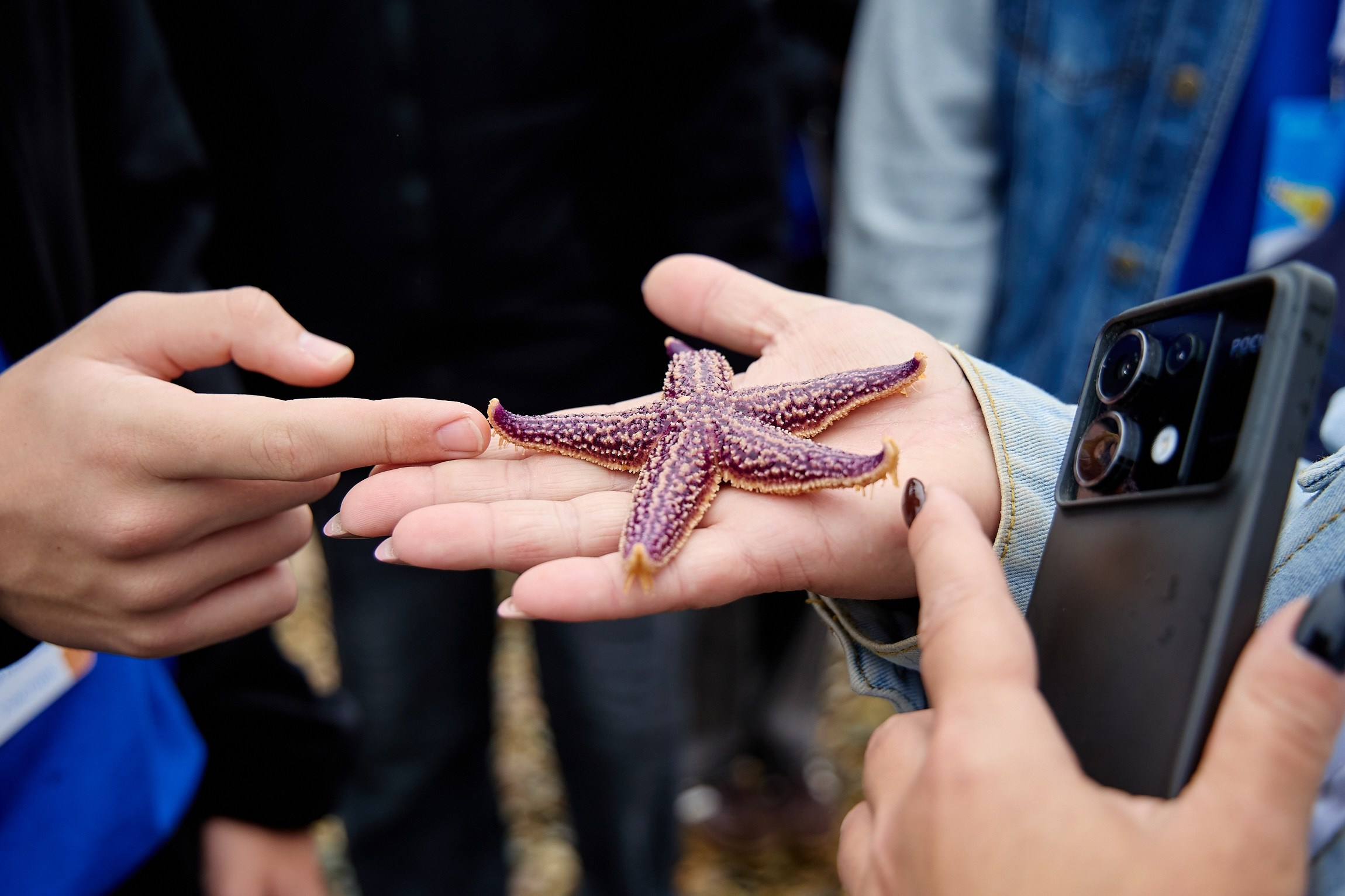 Университетские смены 2025. Репортажный и студийный фотограф во Владивостоке Дударева Софья