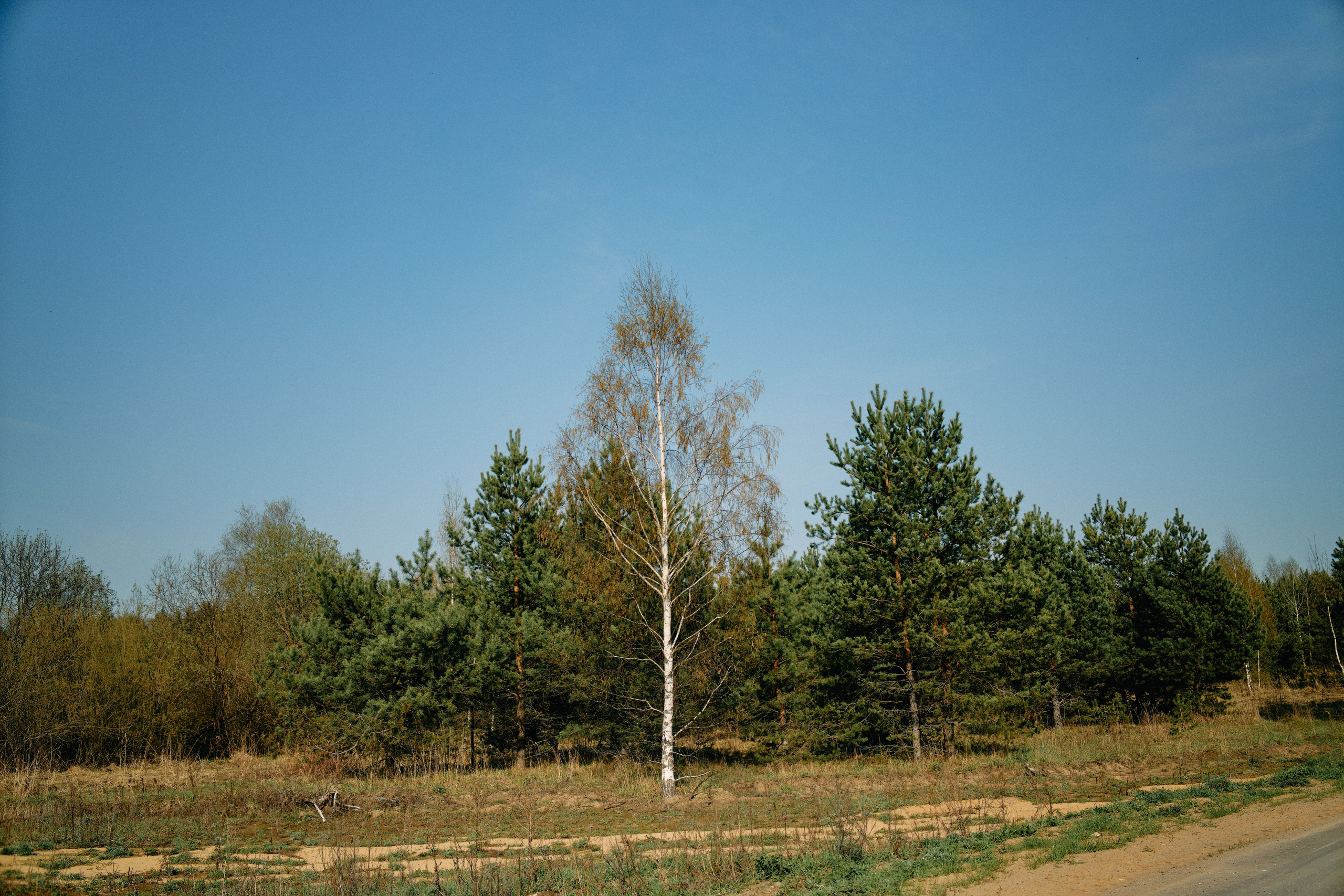Бутик-отель Поле летом. Профессиональный Фотограф во Владимире, в Москве и в Суздале — Полина Романычева