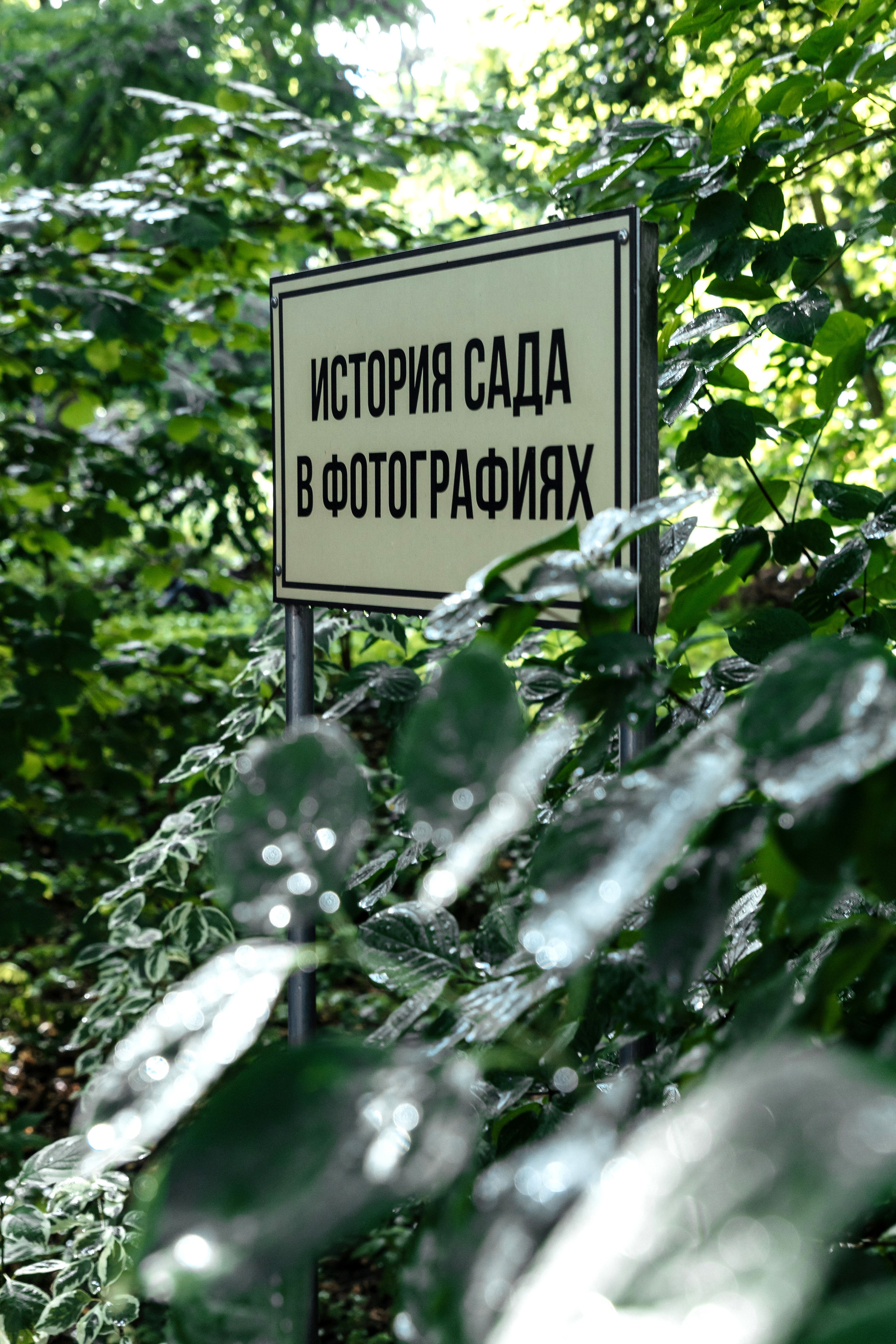 Свадебная серия | Константин Жуйков. Фотограф Константин Жуйков