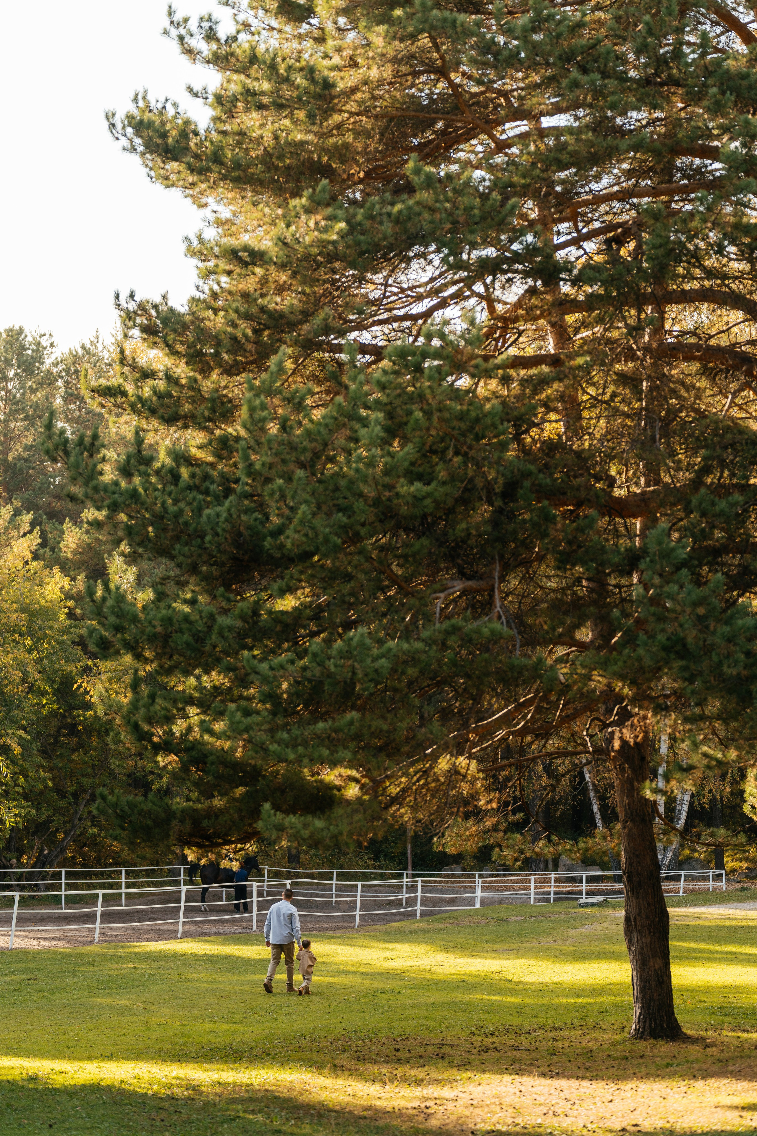 В ожидании тебя. Свадебный и семейный фотограф в Новосибирске Светлана Варутина