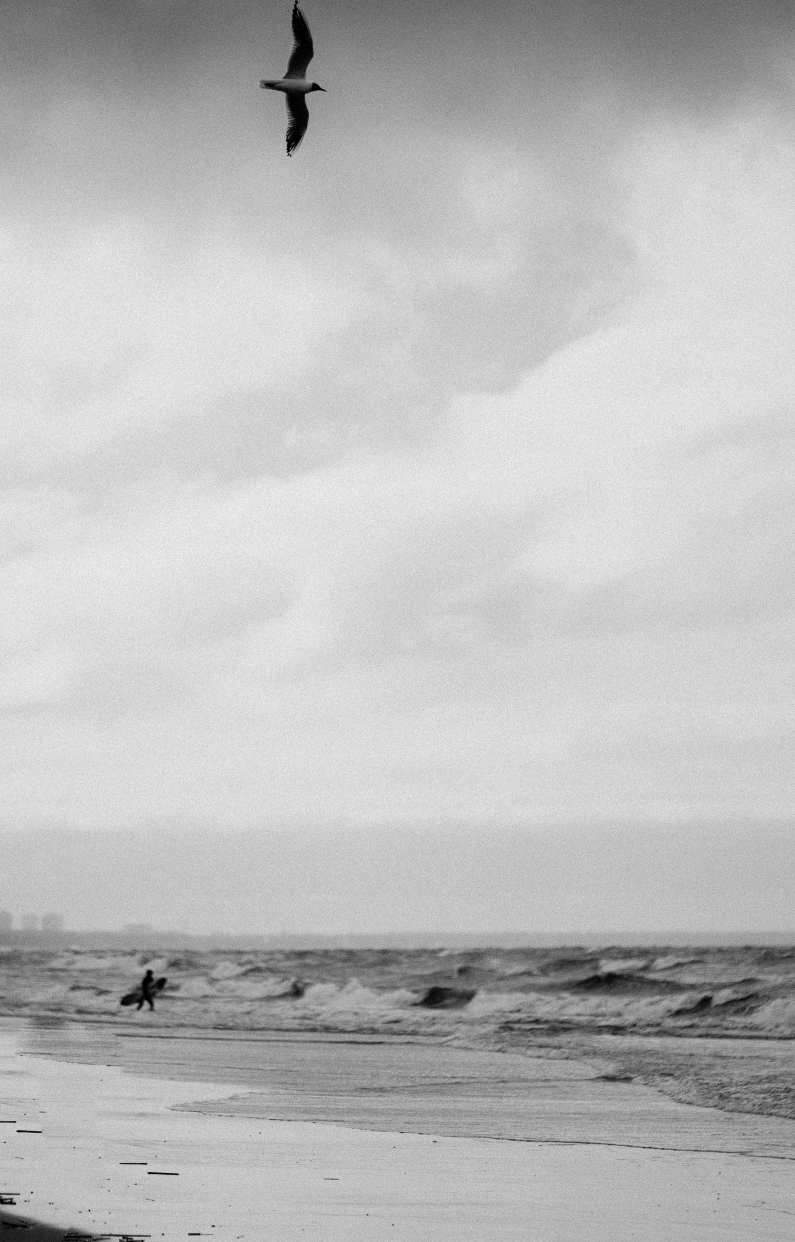 Elena Raya • Photographer