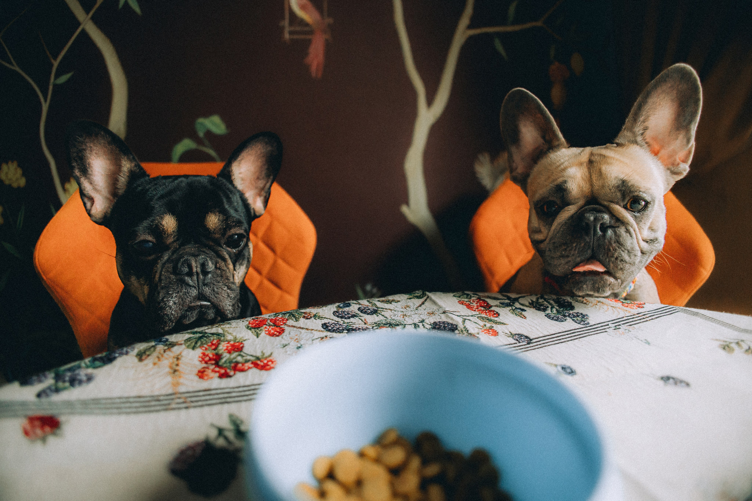 Юля, Мия и Зек