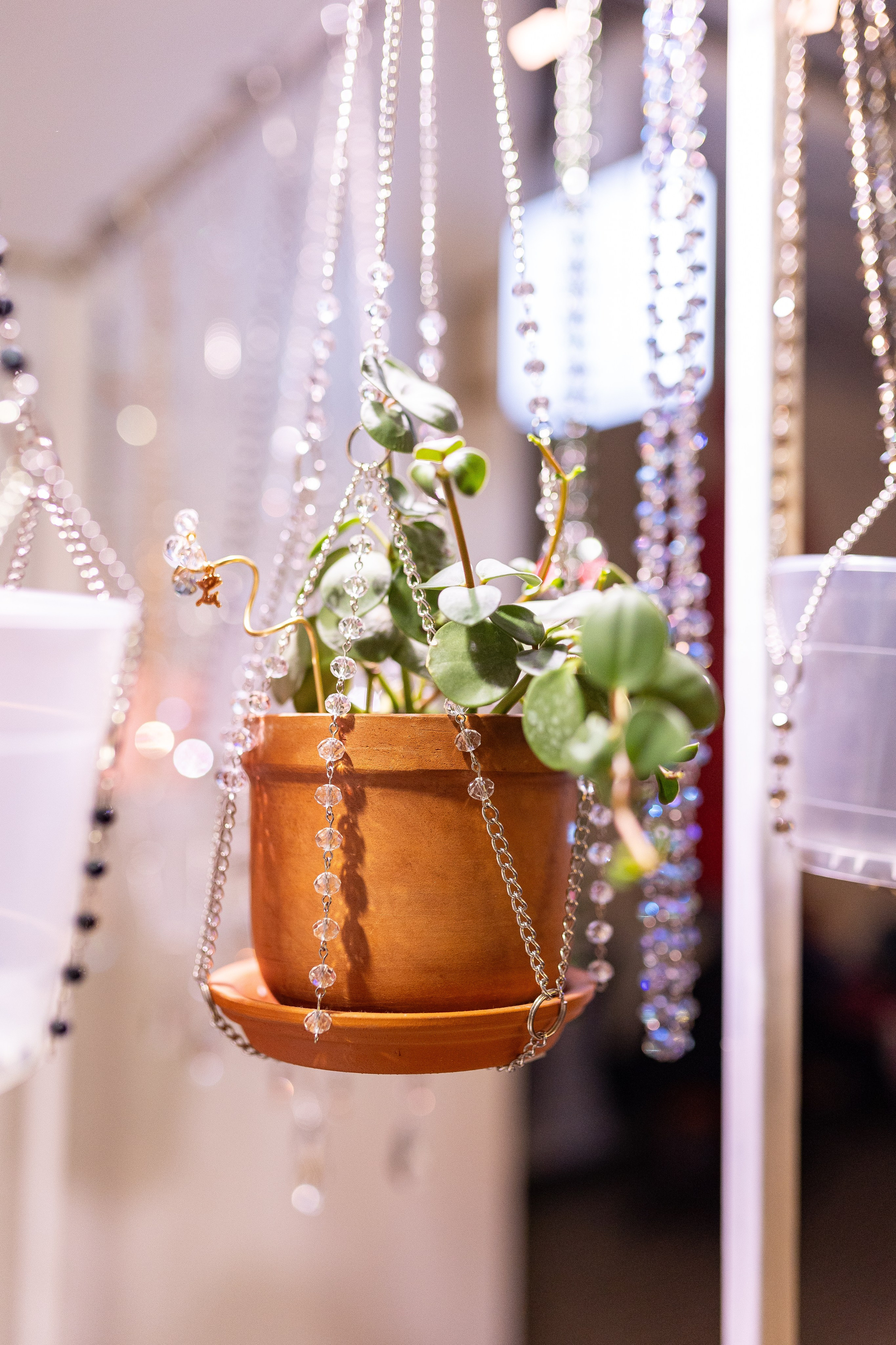 Growbox декабрь 2025. Александра Куликова фотограф, Москва