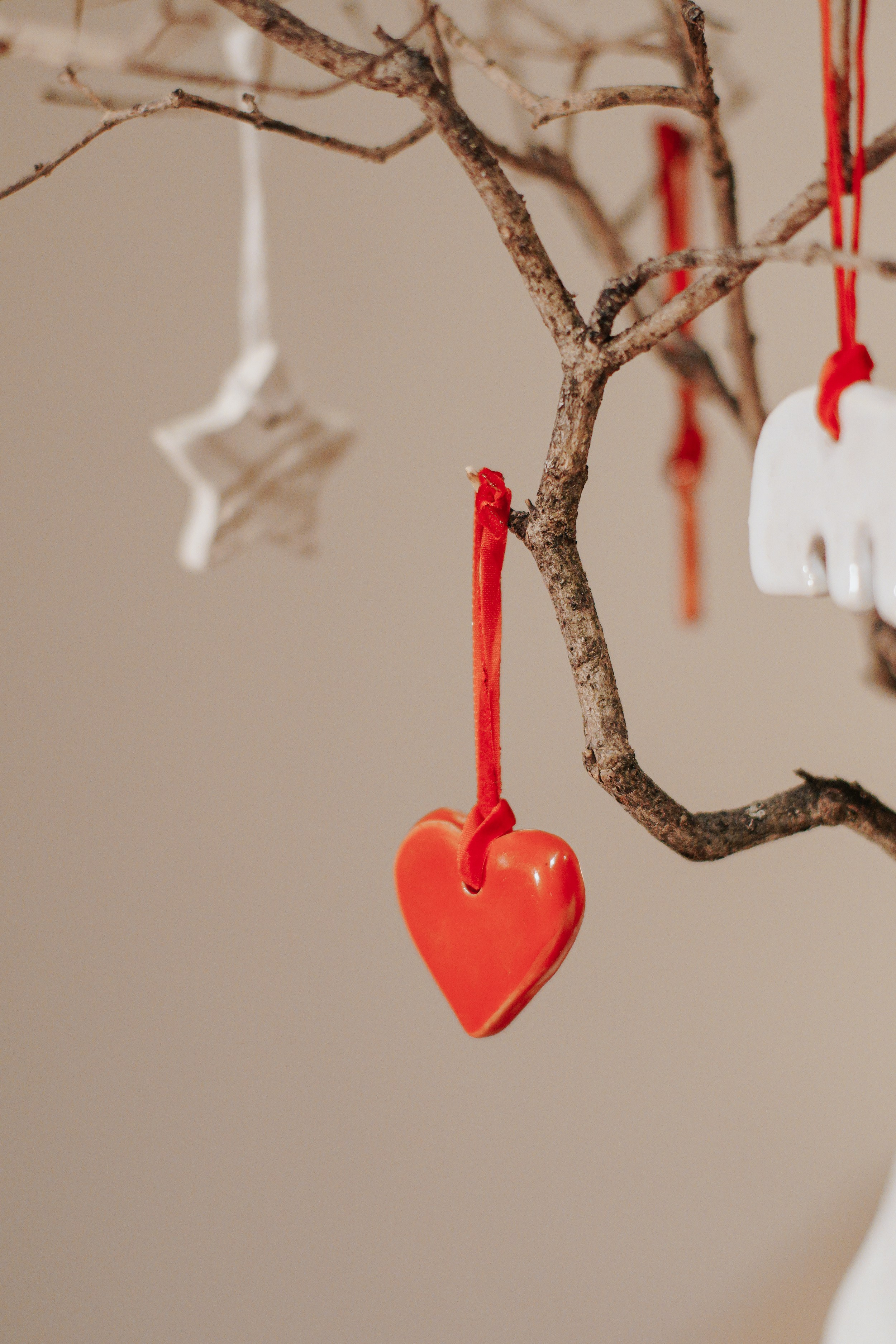 Магазин NOOK. Катя Кудринская. Фотограф на мероприятие СПб. Семейный фотограф