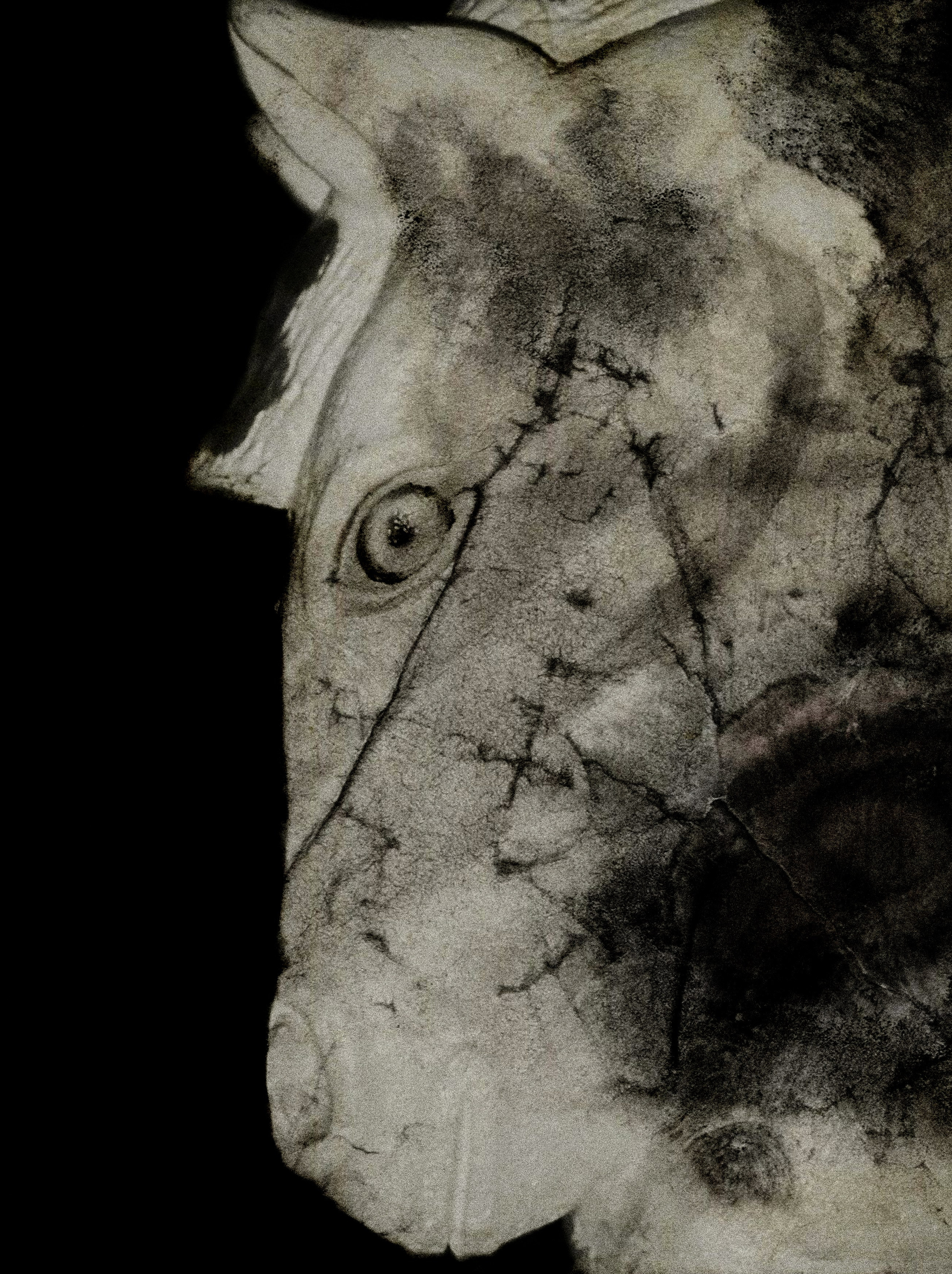 Проект «Somnia» Венкай Ван (Wenkai Wang). Private image