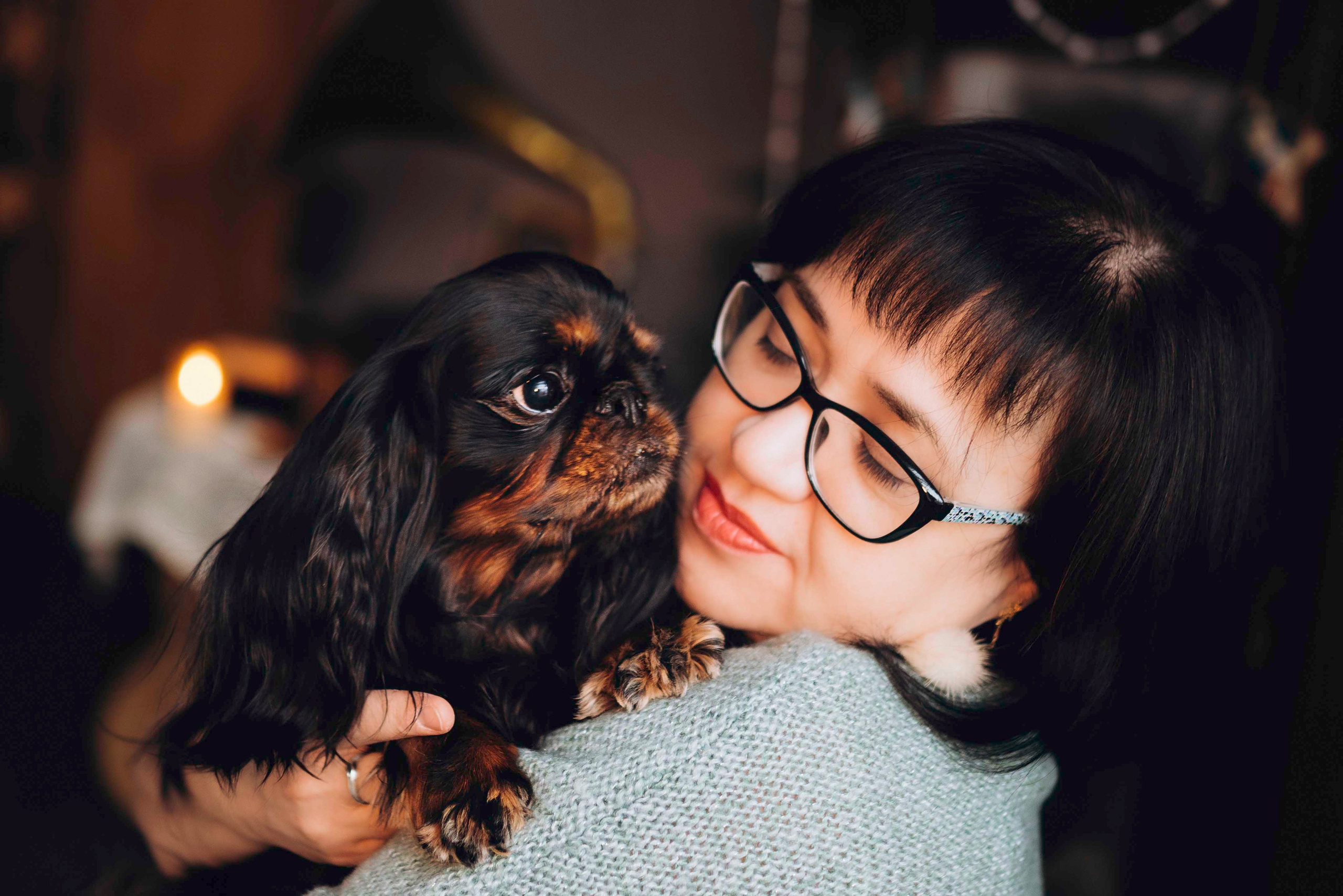 Ариша и её семья. Фотограф анималист в Спб недорого Олеся Майорова