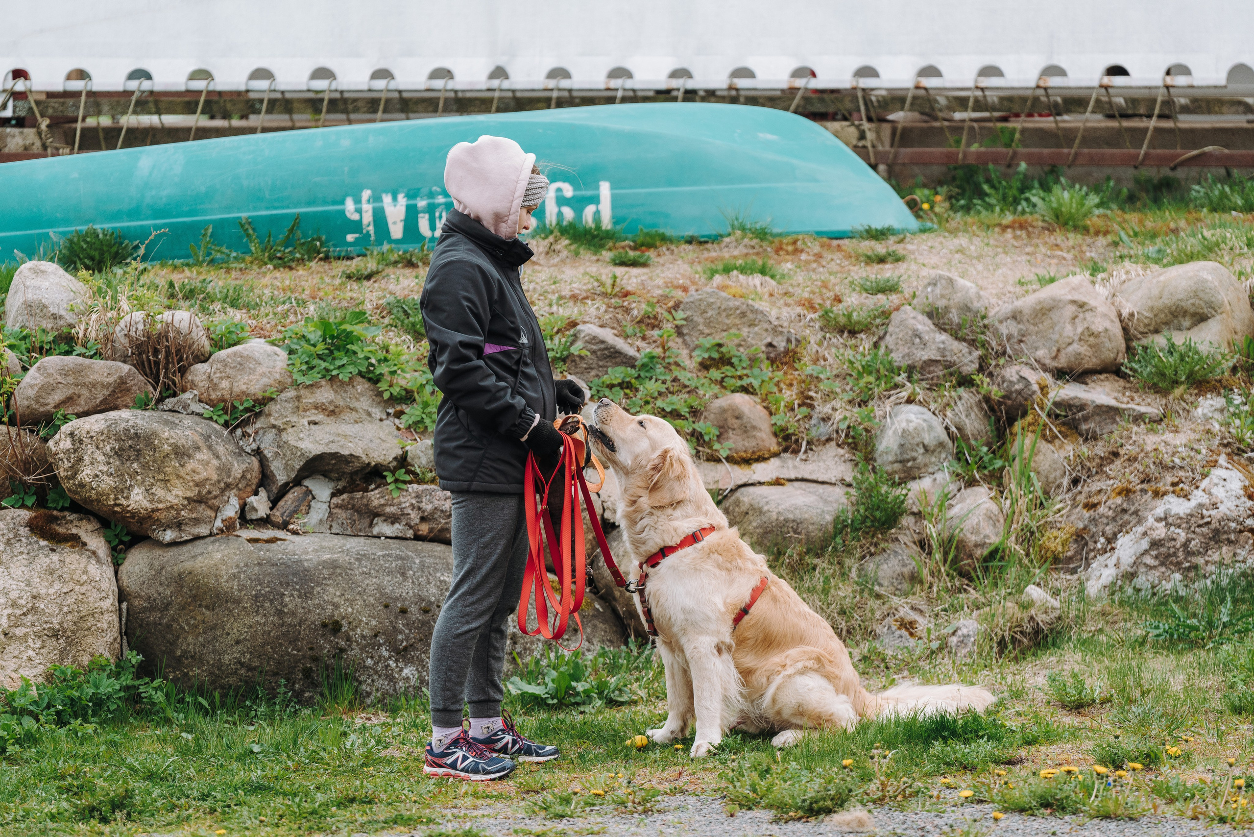 Соревнования по ноузворку в Лосево. Фотограф анималист в Спб недорого Олеся Майорова