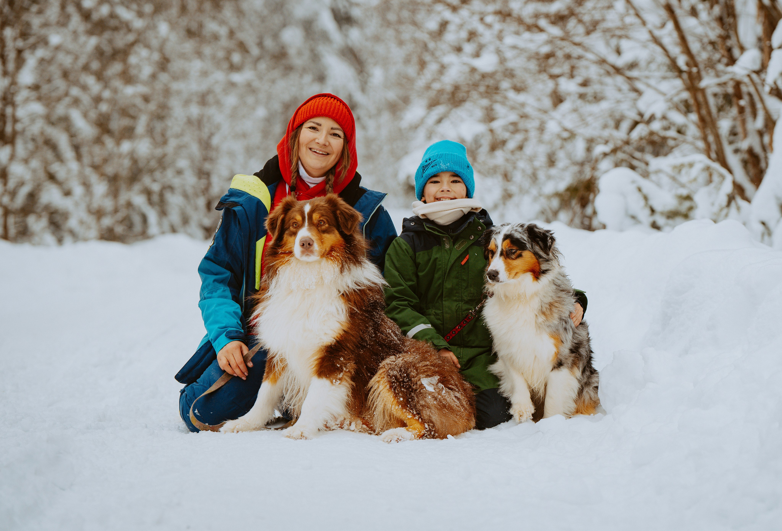 Дог трекинг. Фотограф анималист в Спб недорого Олеся Майорова
