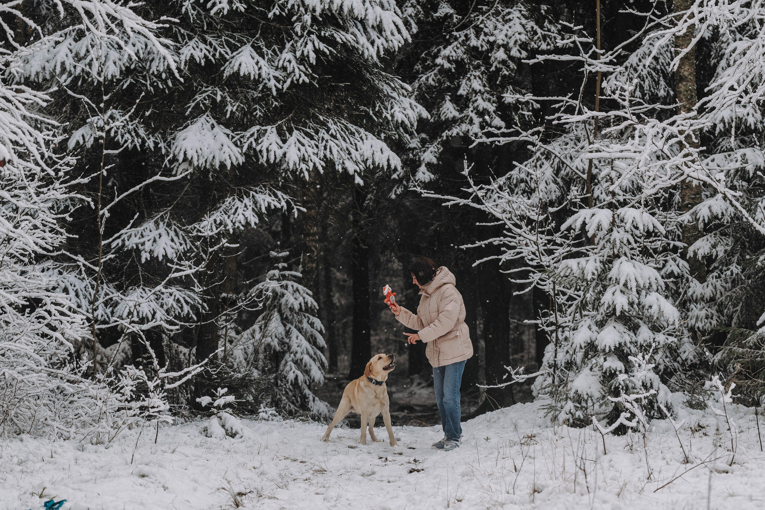Аня и Честер. Фотограф анималист в Спб недорого Олеся Майорова