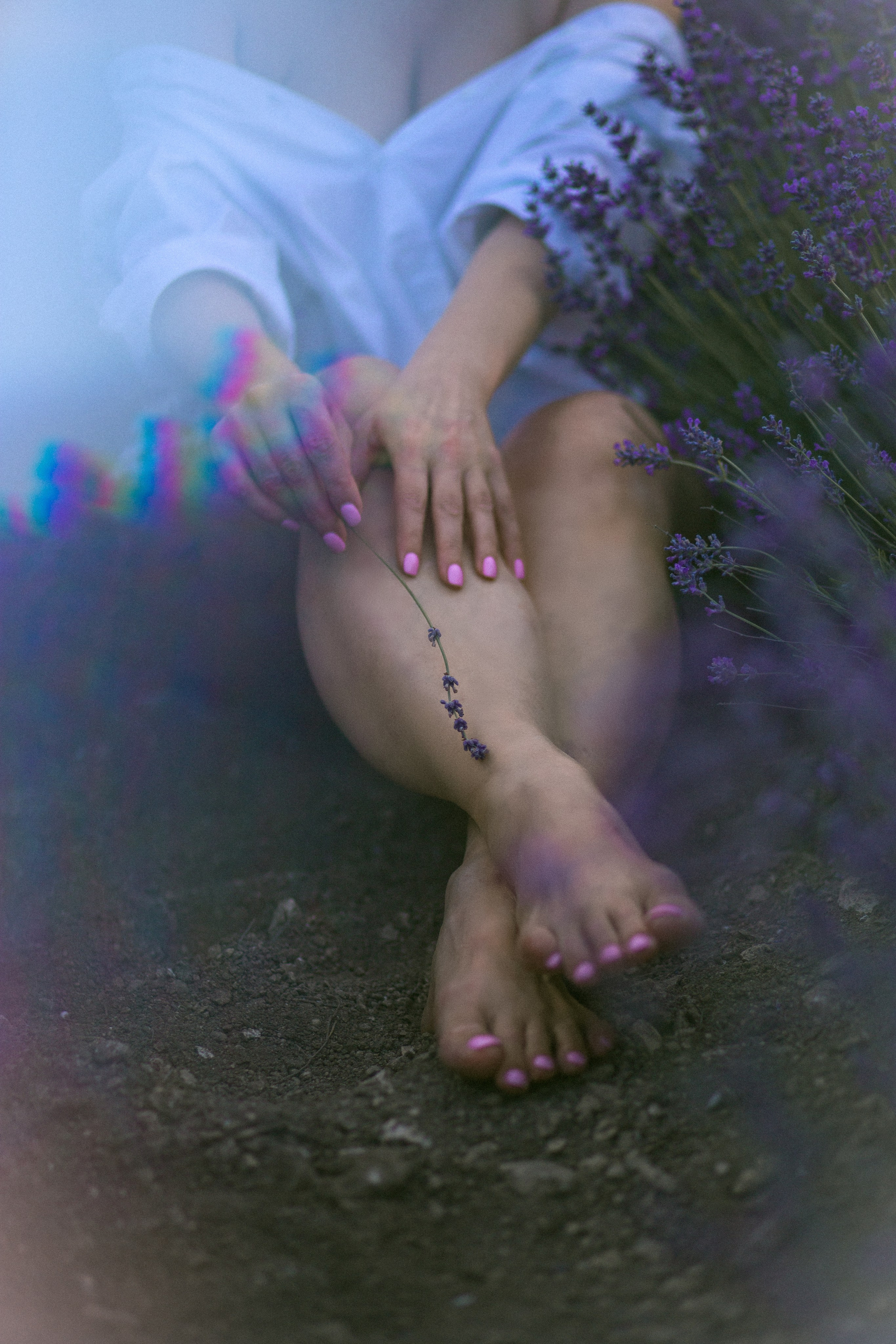 Крымская лаванда. Семейный фотограф в Москве Влада Лунина