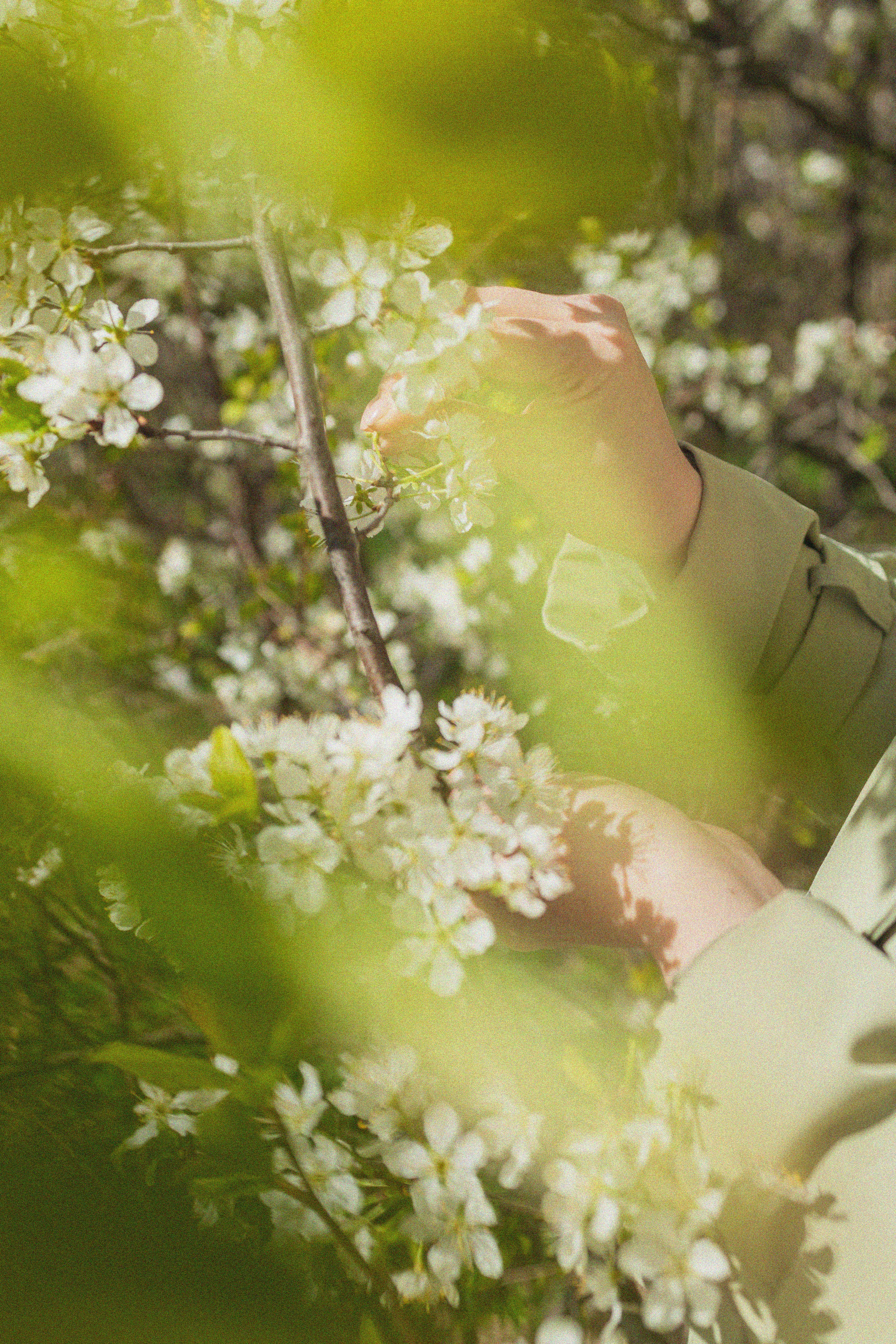 Эстетика П р о Я в л е н и я. Виноградова Маргарита. Фотограф P r o Явления