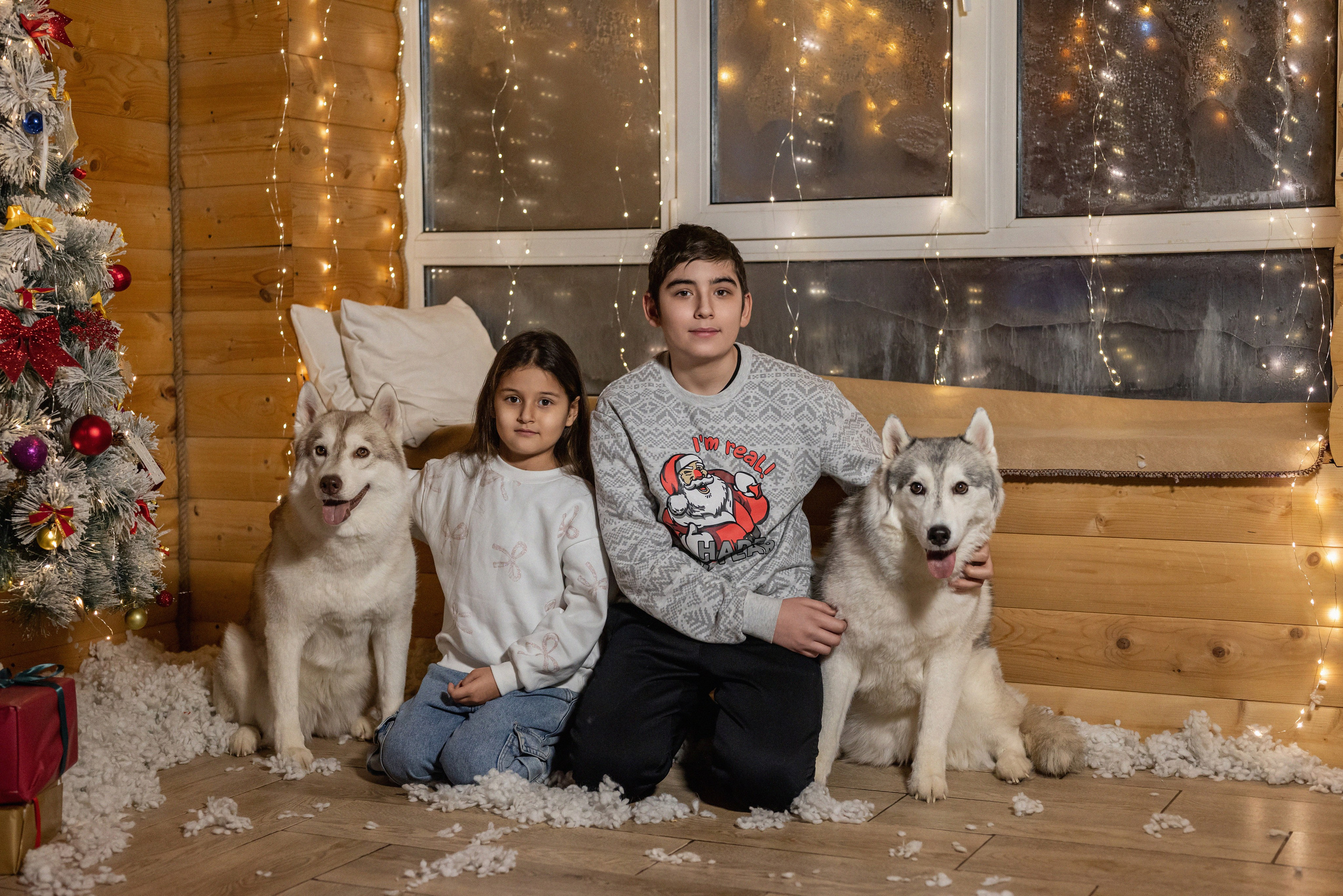 Фотопроект с хаски 2025 г. Фотограф в городе Салават