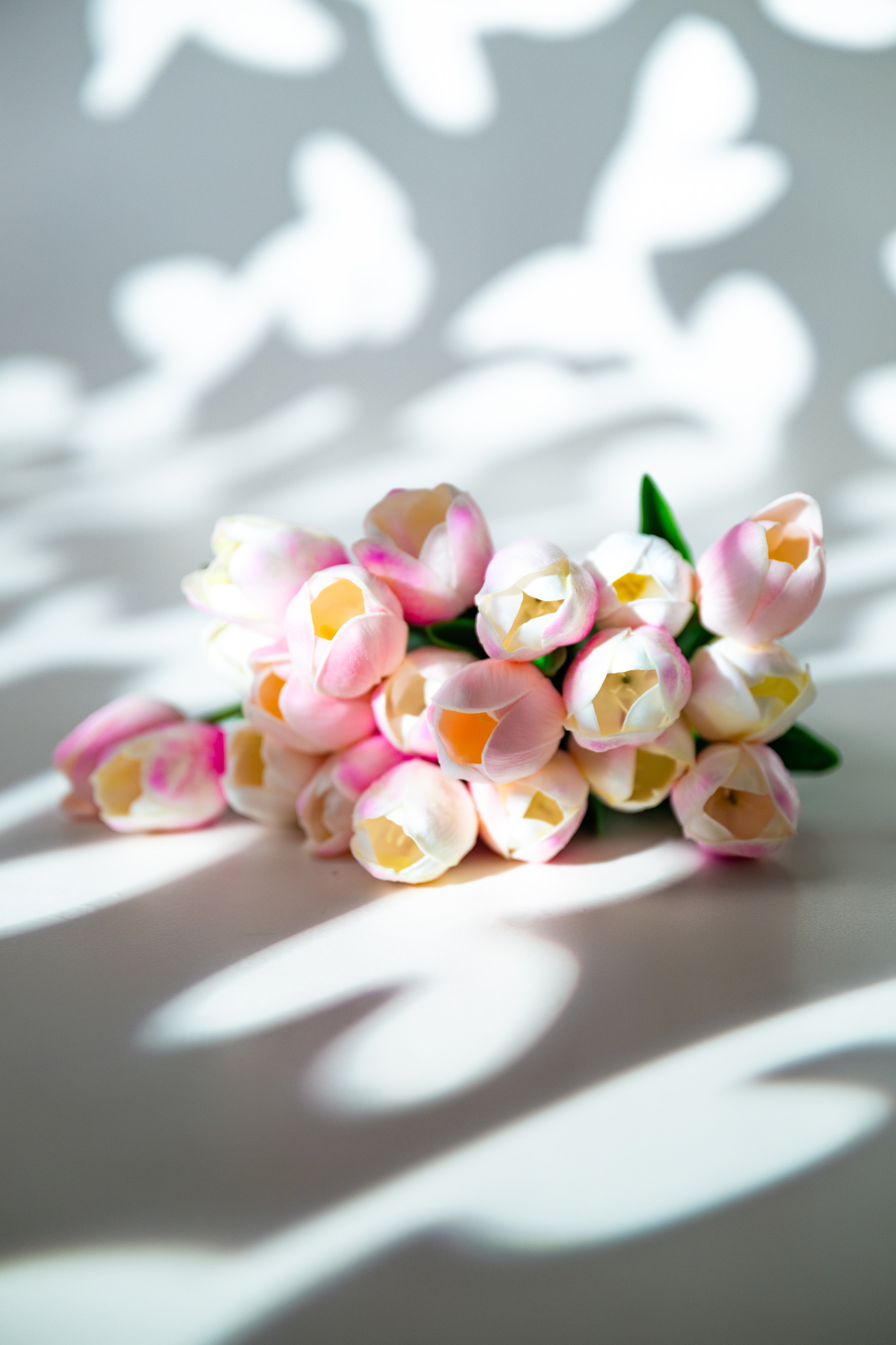 Студийные фотосессии. Студийный и свадебный фотограф и видеограф в Севастополе — Юлия Макаренко