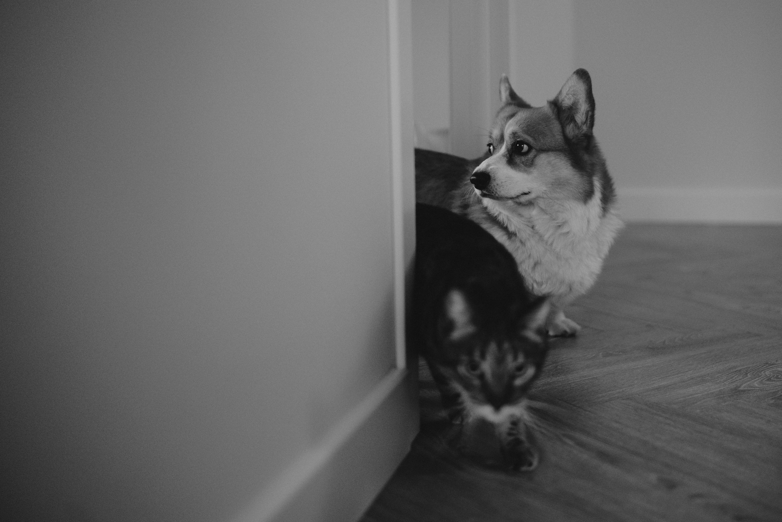 В гостях у Марка. Фотограф Костикова Анастасия Ростов-на-Дону