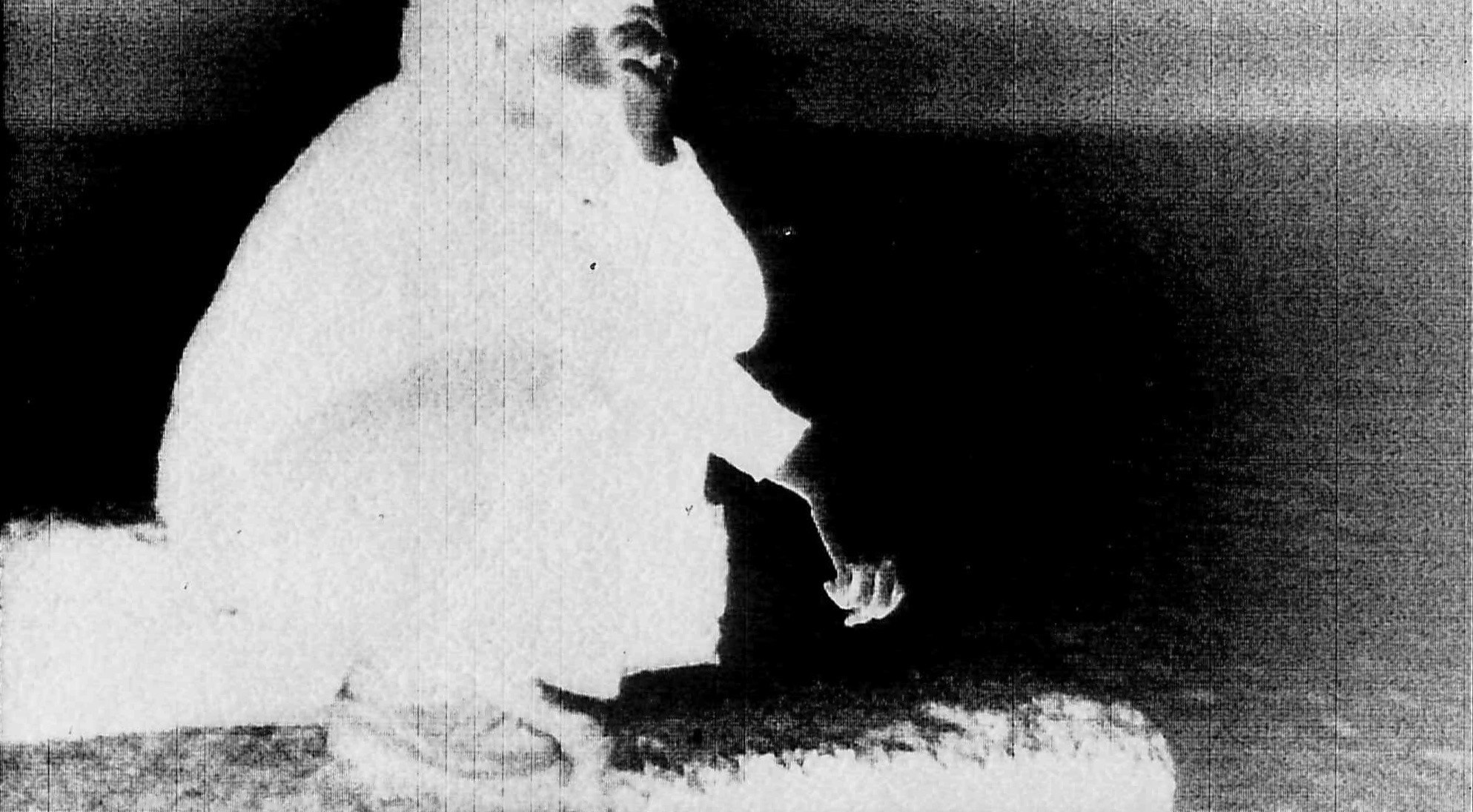 Отраженный свет. Катерина Эделева