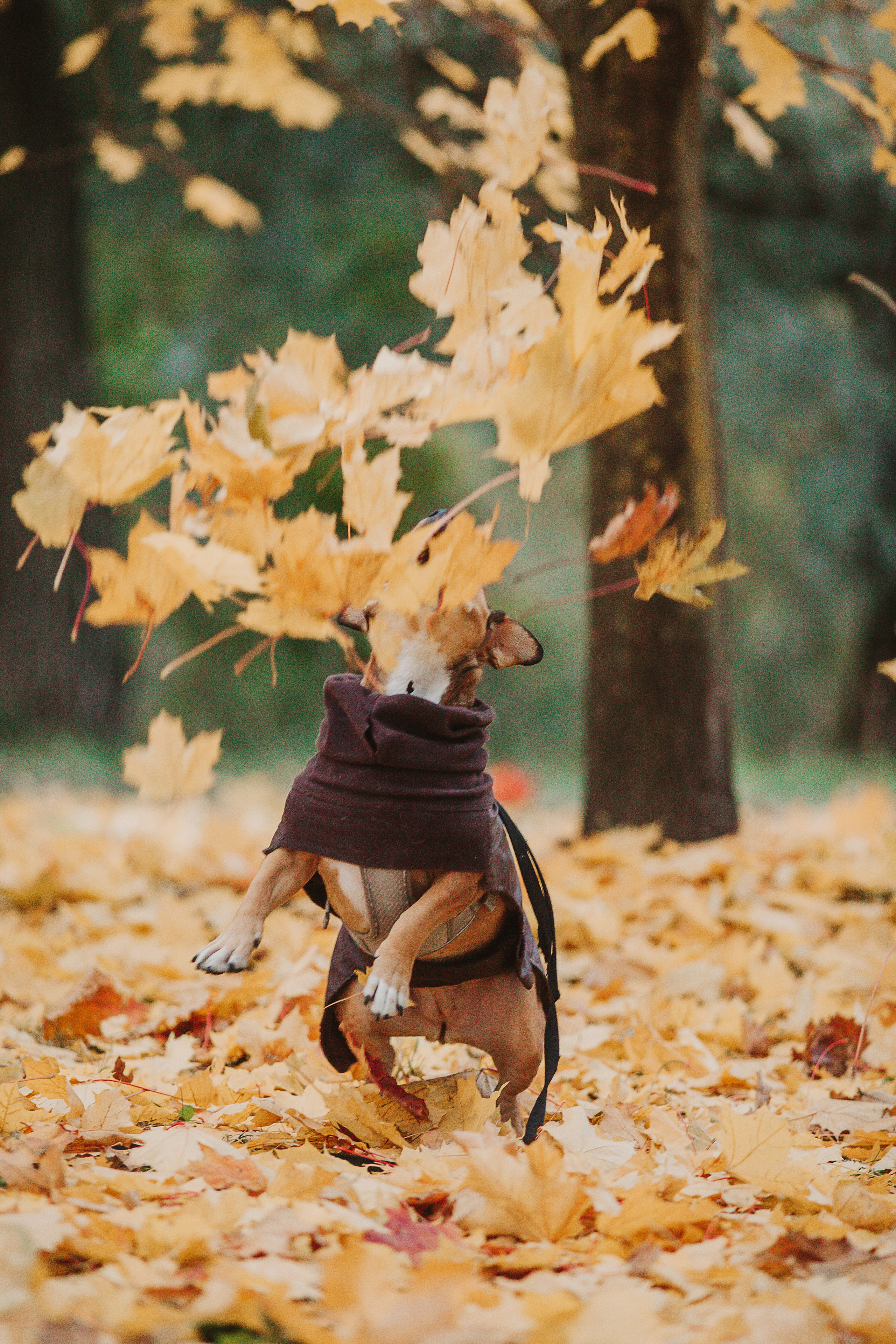 Тёма и Таня. Aourica — Фотограф Ольга, Санкт-Петербург, Москва, Гагарин