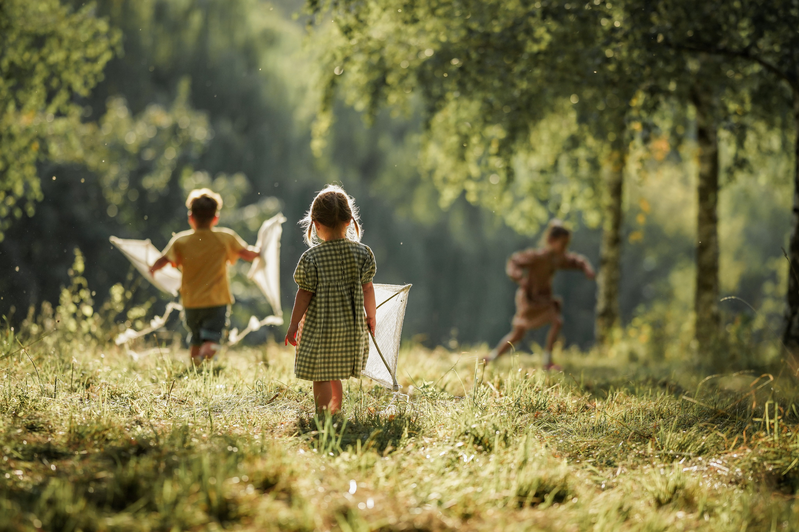 Воздушный змей. Семейный фотограф Ефремова Виктория