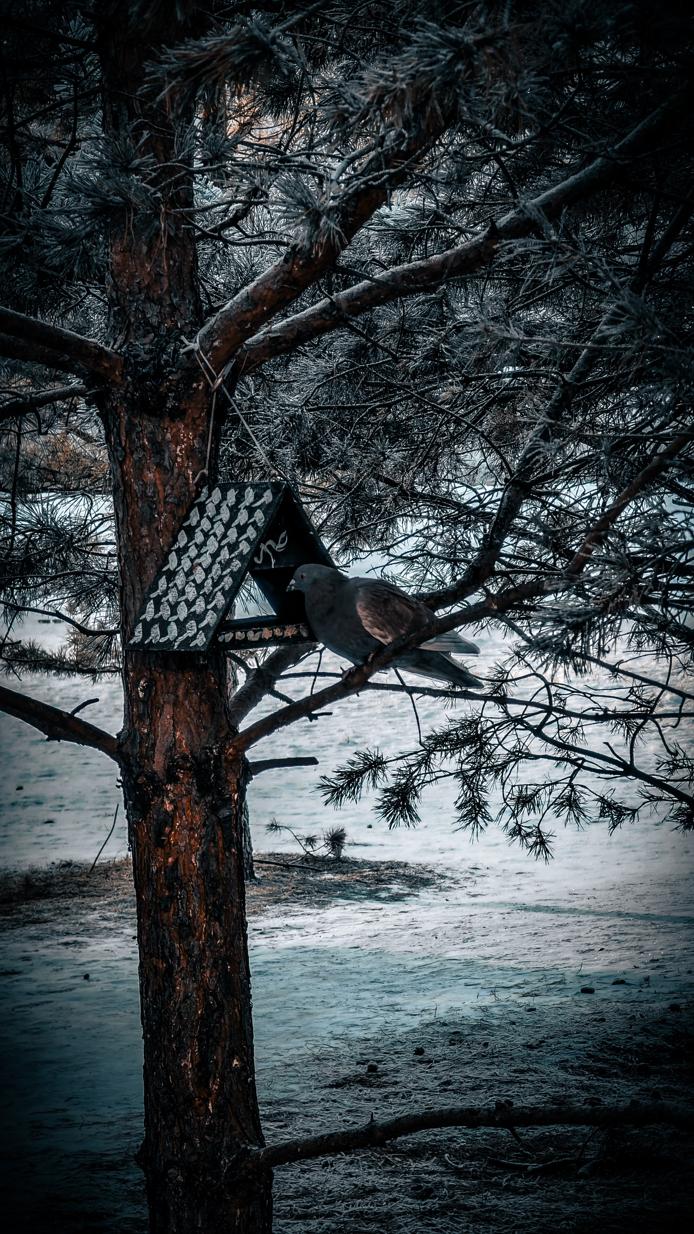 Скоро лето. Игорь Урывский. Фотограф Красноярск