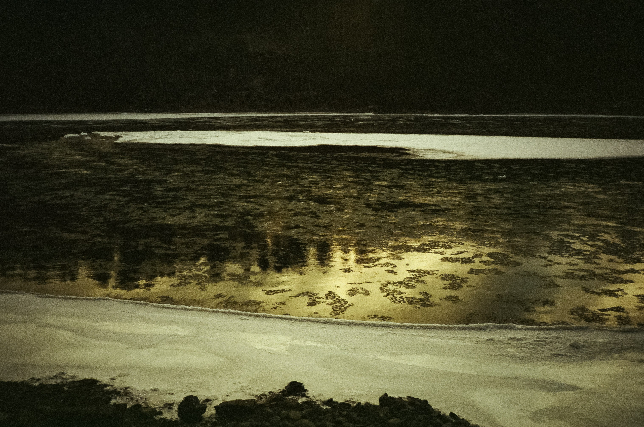 Дорога в сторону Сада Пионов, база Сила Алтая / 15 — 16 декабря 2023 г