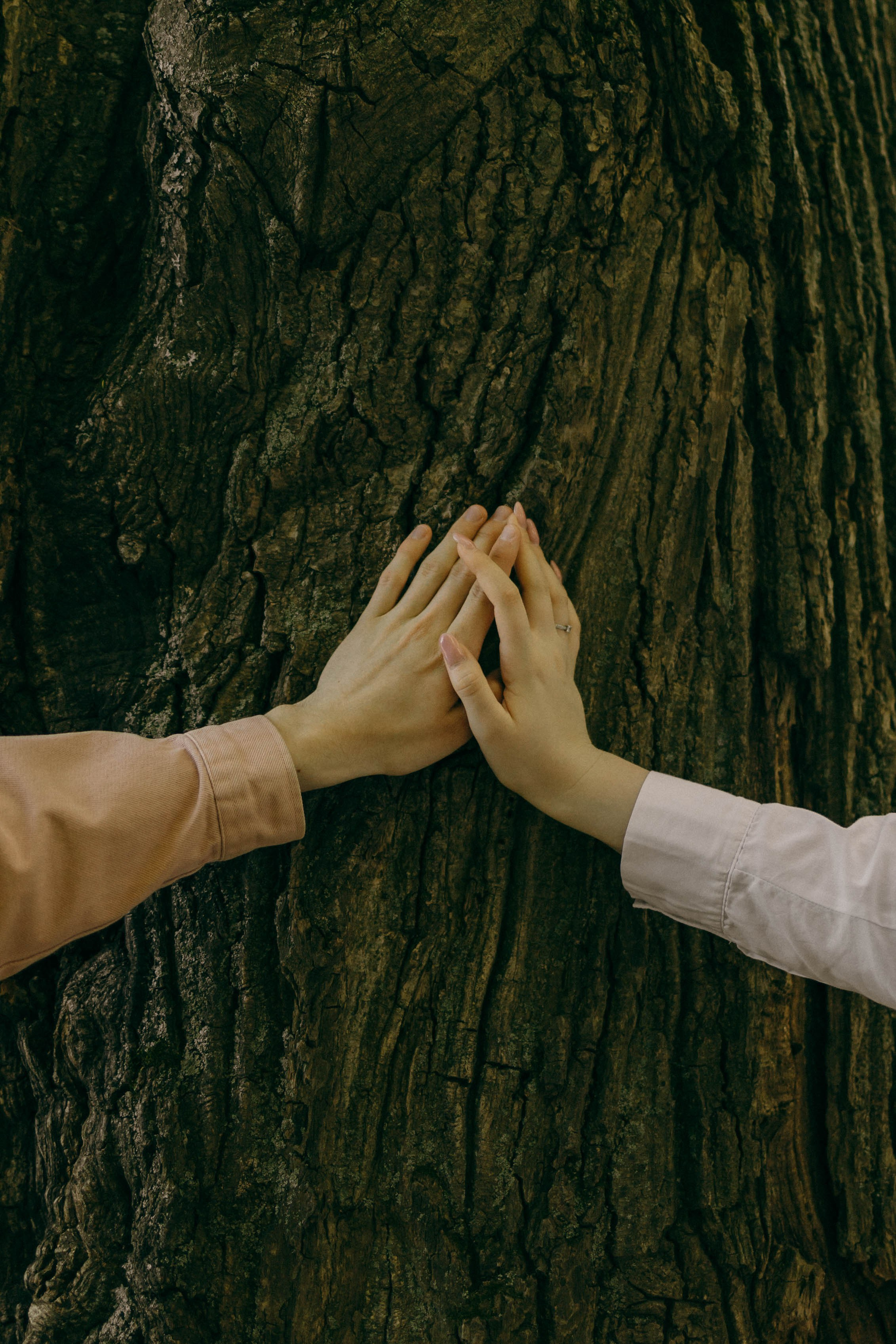 Дима и Света | история любви. Фотограф в Нижнем Новгороде Креава Ира