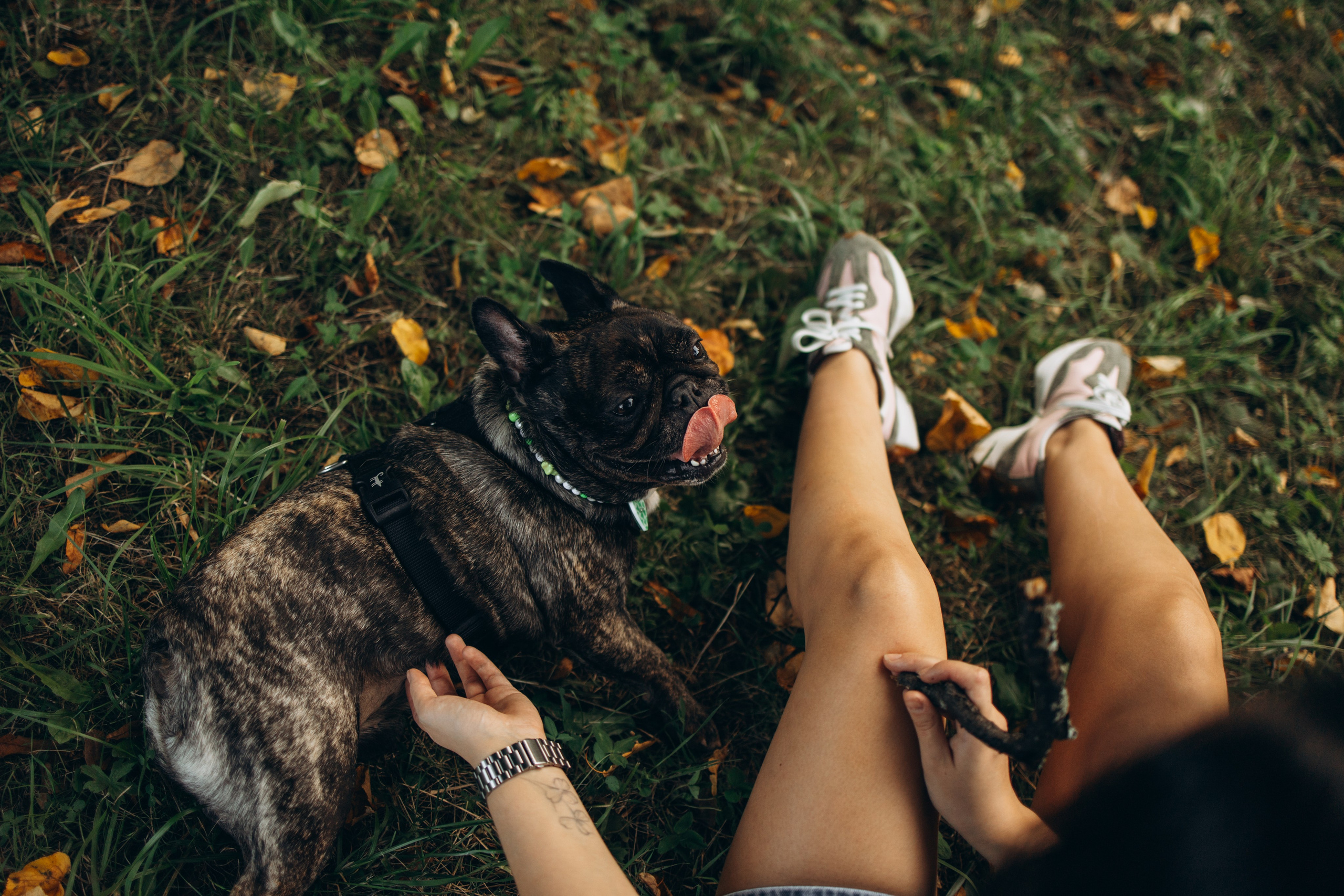 Олеся и Луи. Фотограф — Анималист | Санкт-Петербург