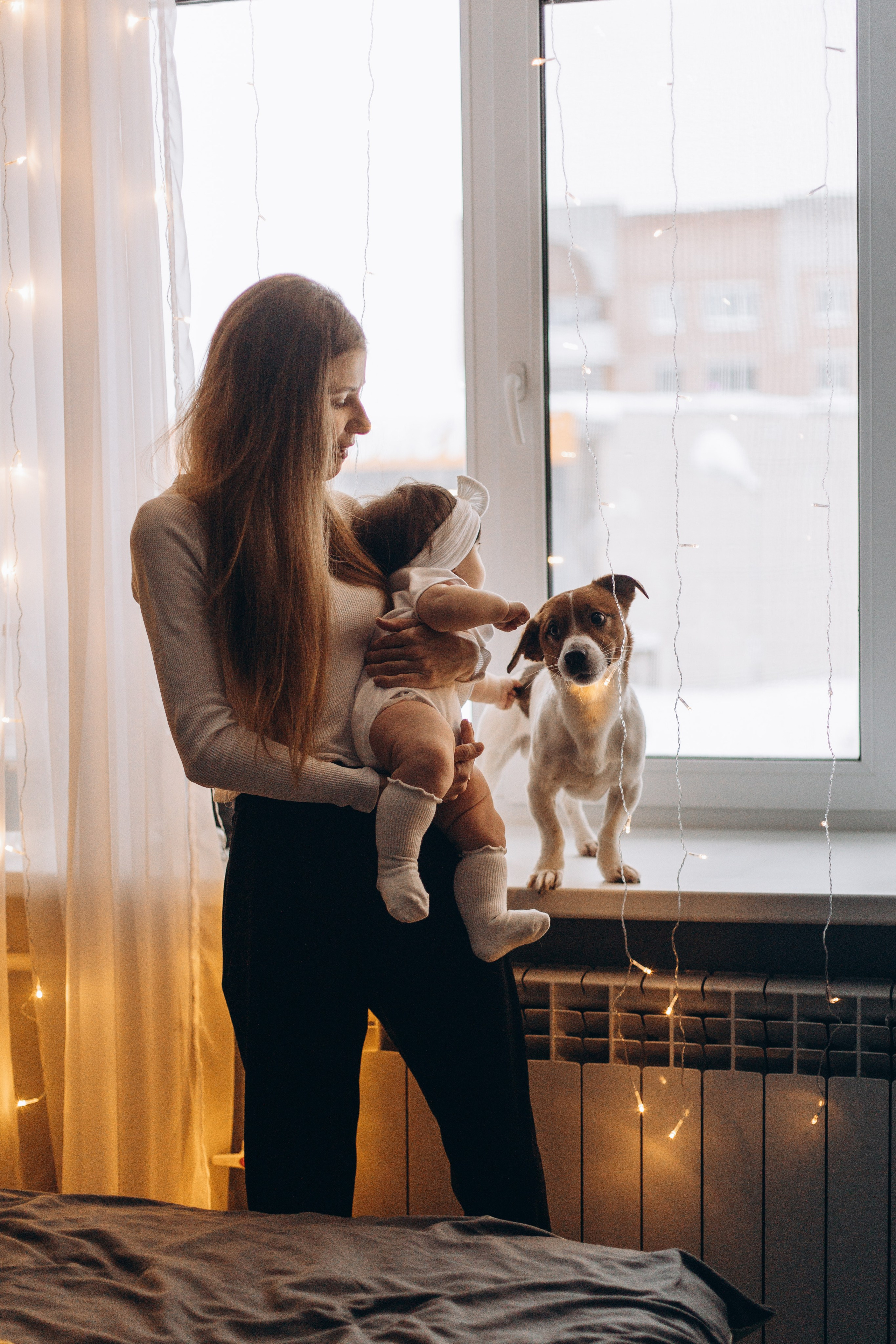 Джой и его семья. Фотограф — Анималист | Санкт-Петербург