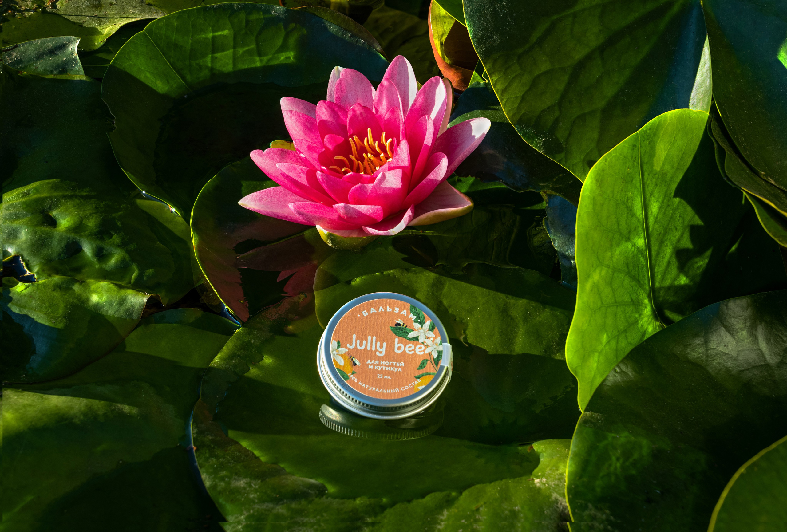 Бальзам Jully bee на листе кувшинки. Имиджевое фото
