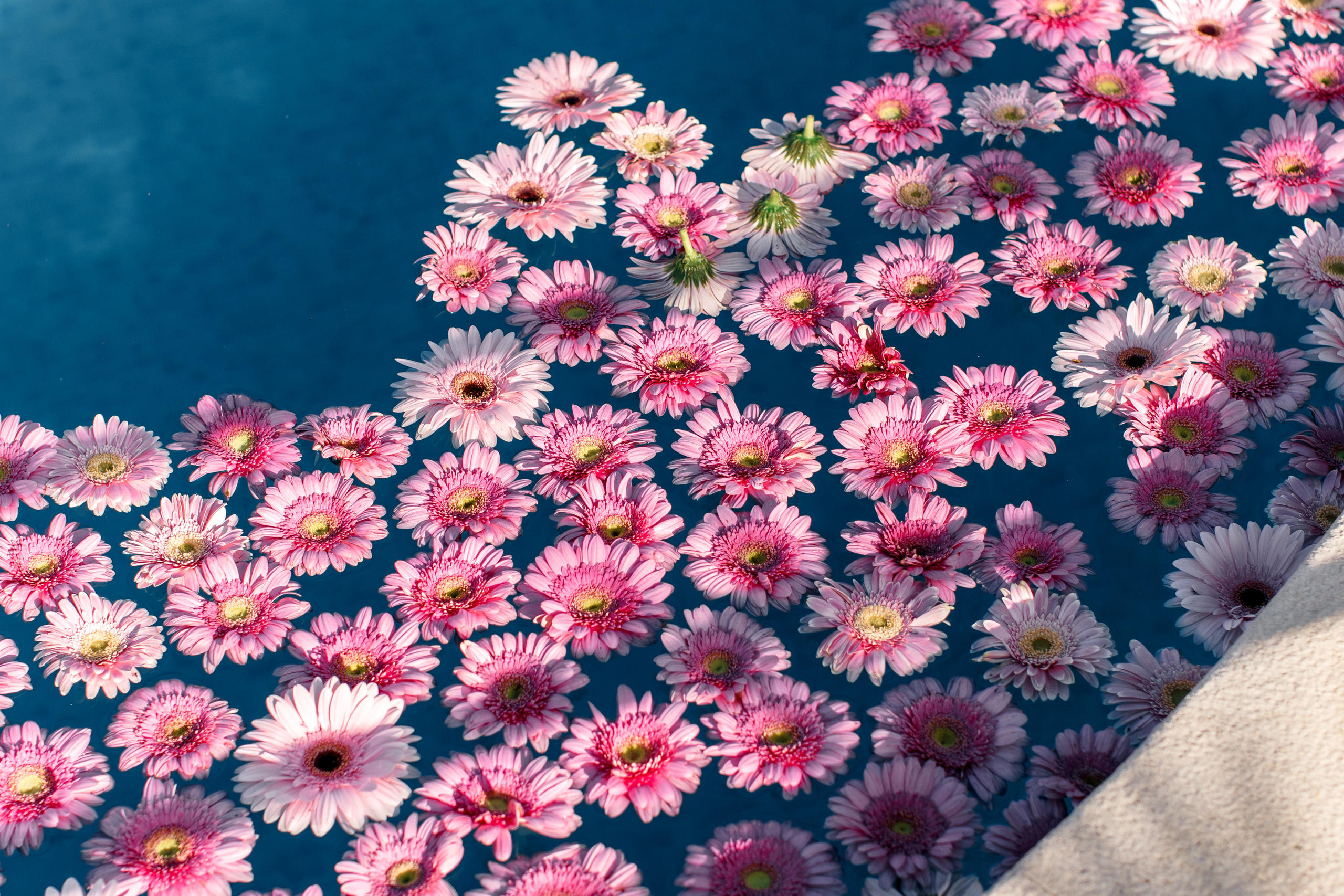 Валентин & Елена — Лиссабон (Португалия). Свадебный фотограф Ричард Конвенсаров Wedding Photographer Richard & I