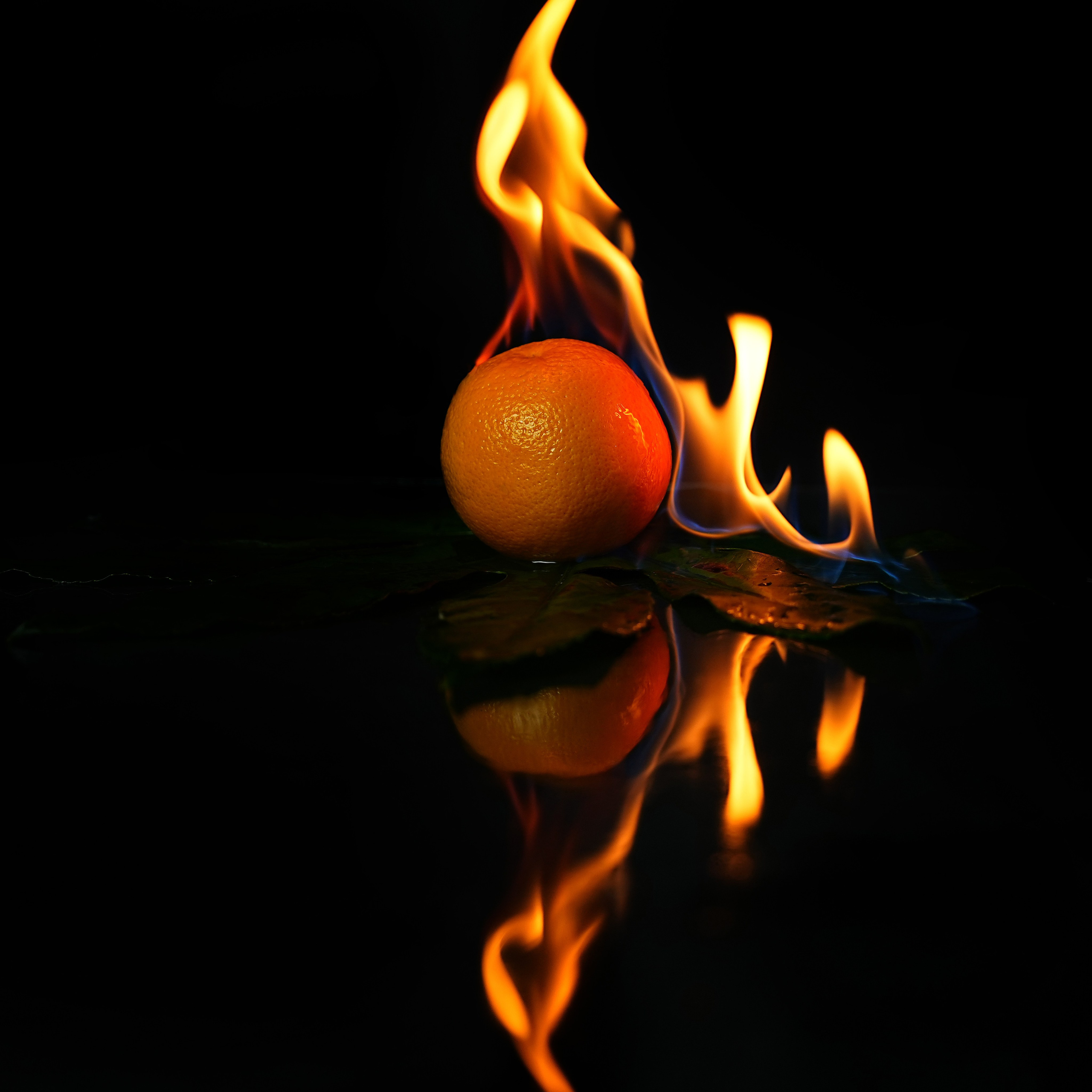 Предметная фотосъёмка. Фотограф, видеооператор Нина Коршунова