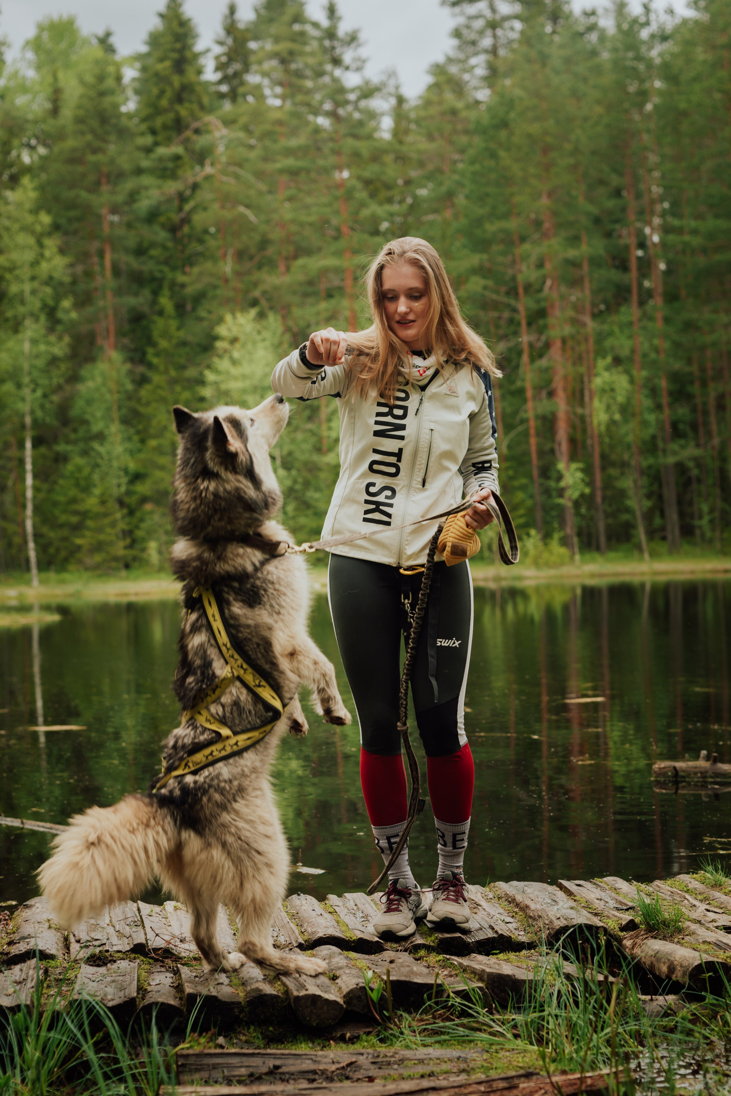Догтрекинг. Фотограф в Санкт-Петербурге и Ленинградской области