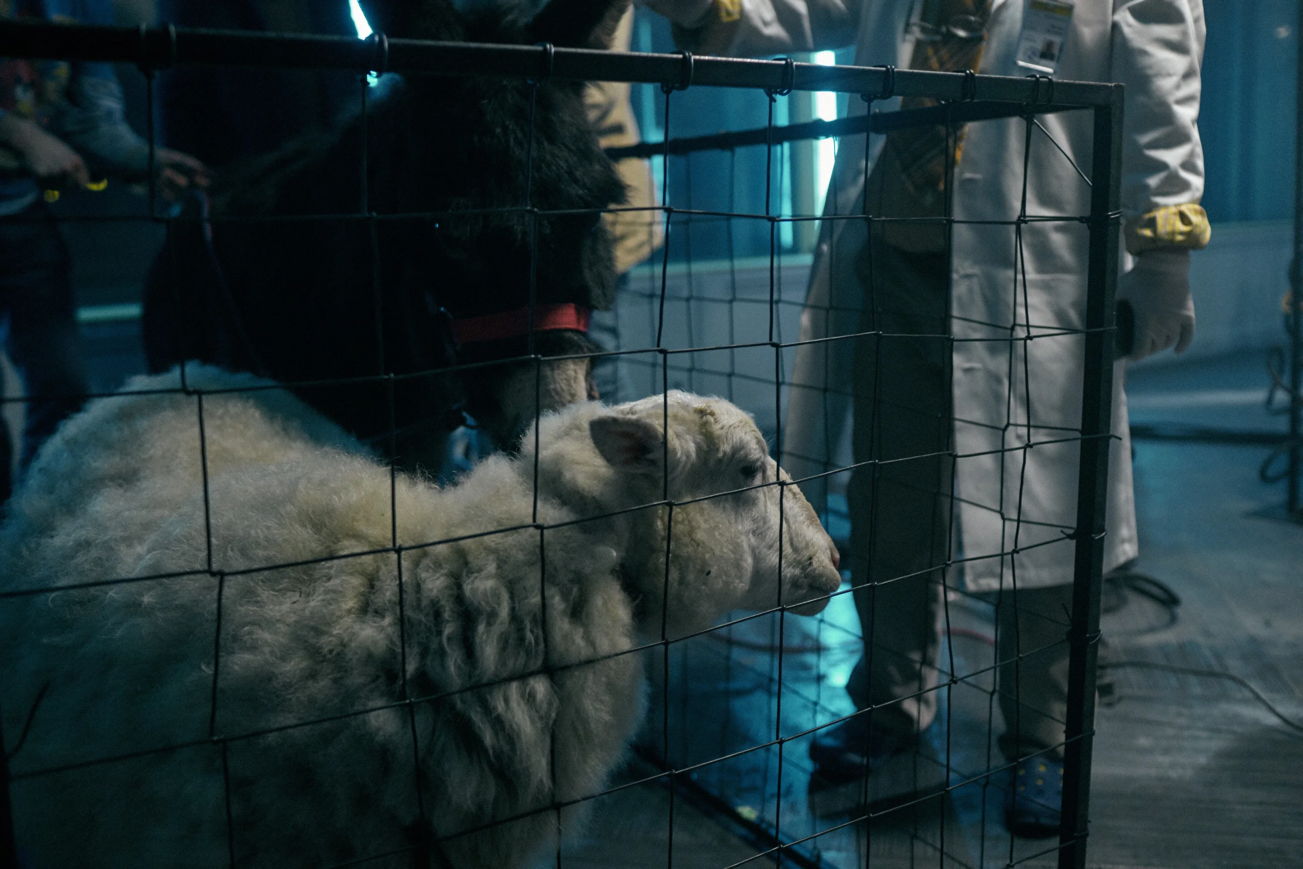 «Wi-Fi Girl» Short film BTS. Спортивный и бизнес фотограф Арсений Голышкин