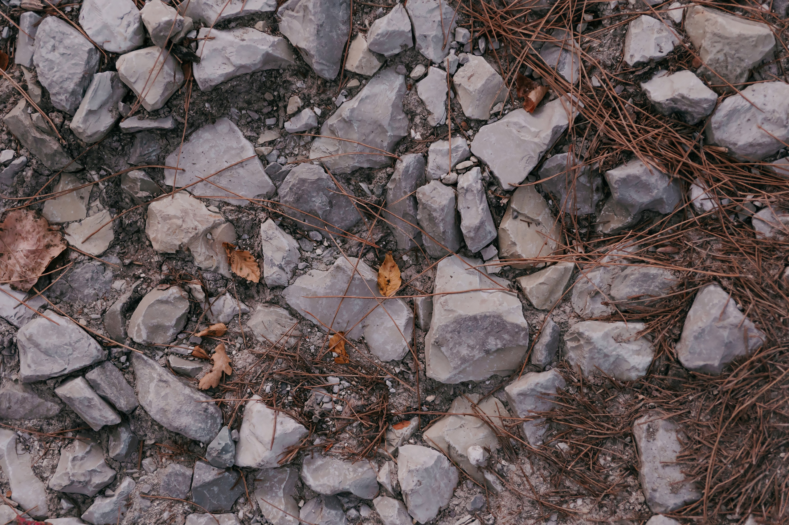 Иллина и Саша. Фотограф Ирина Романова