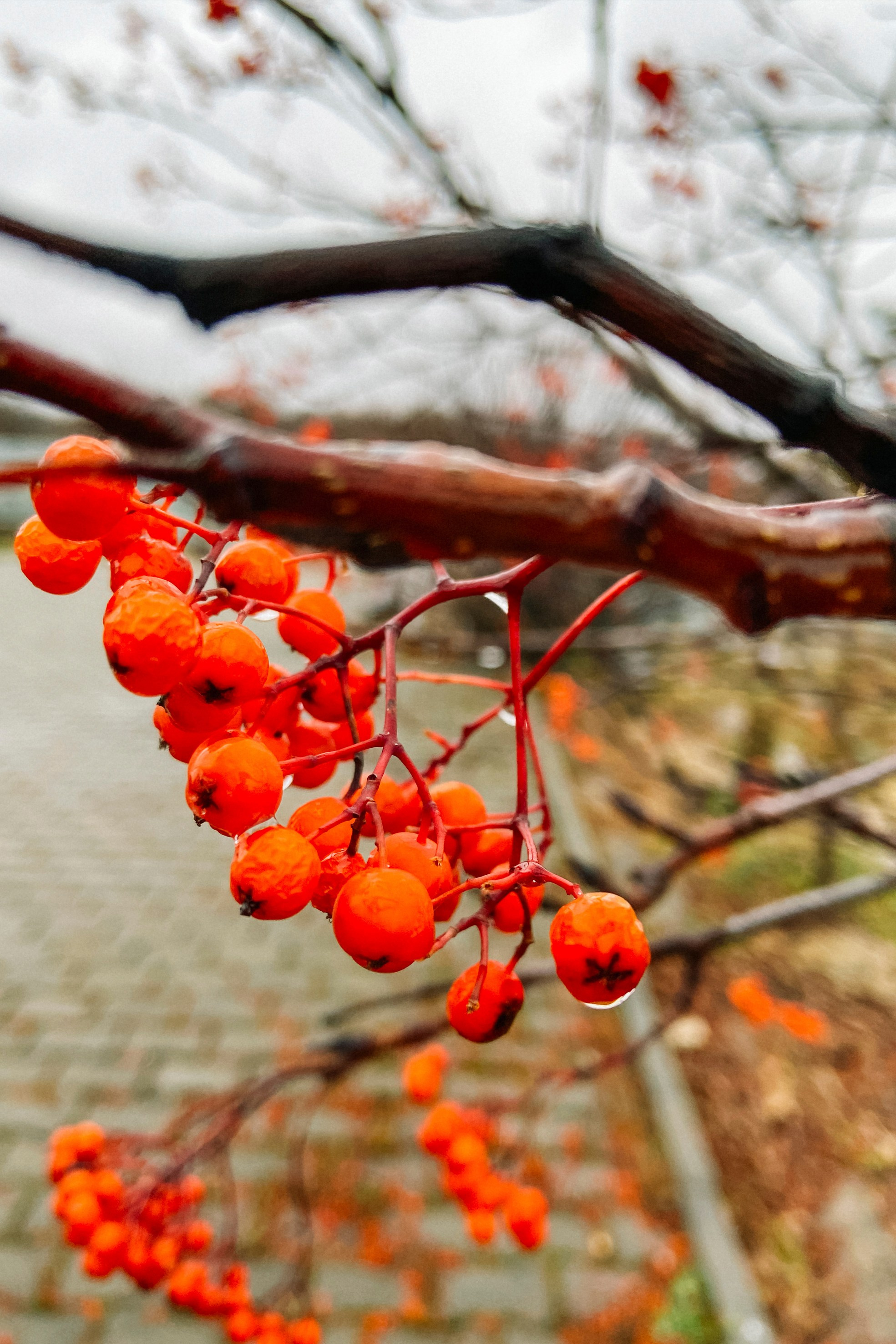 Природа. Команда фотографов Кристины Ивановой