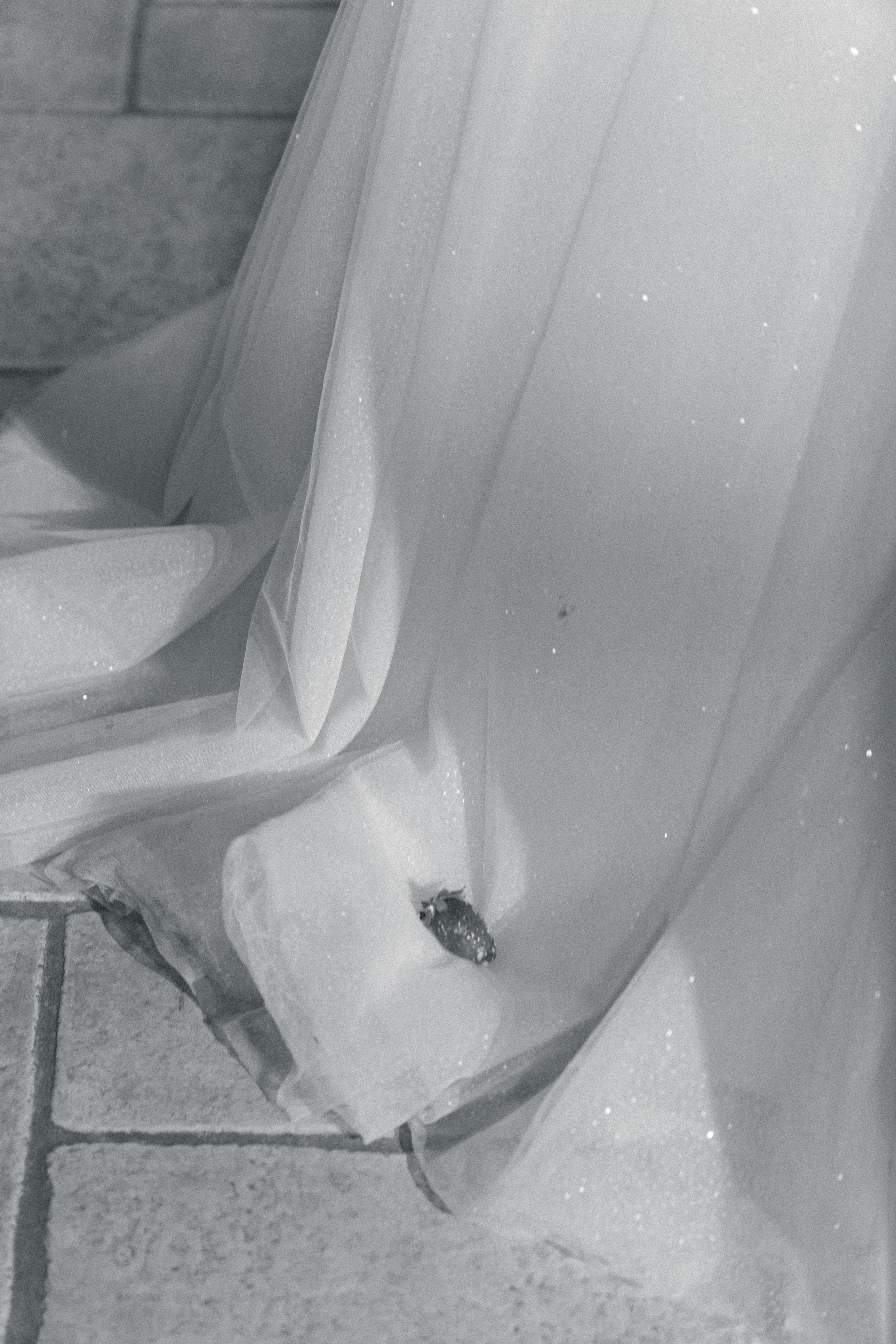 Счастье в простом. Photo_ylia.v