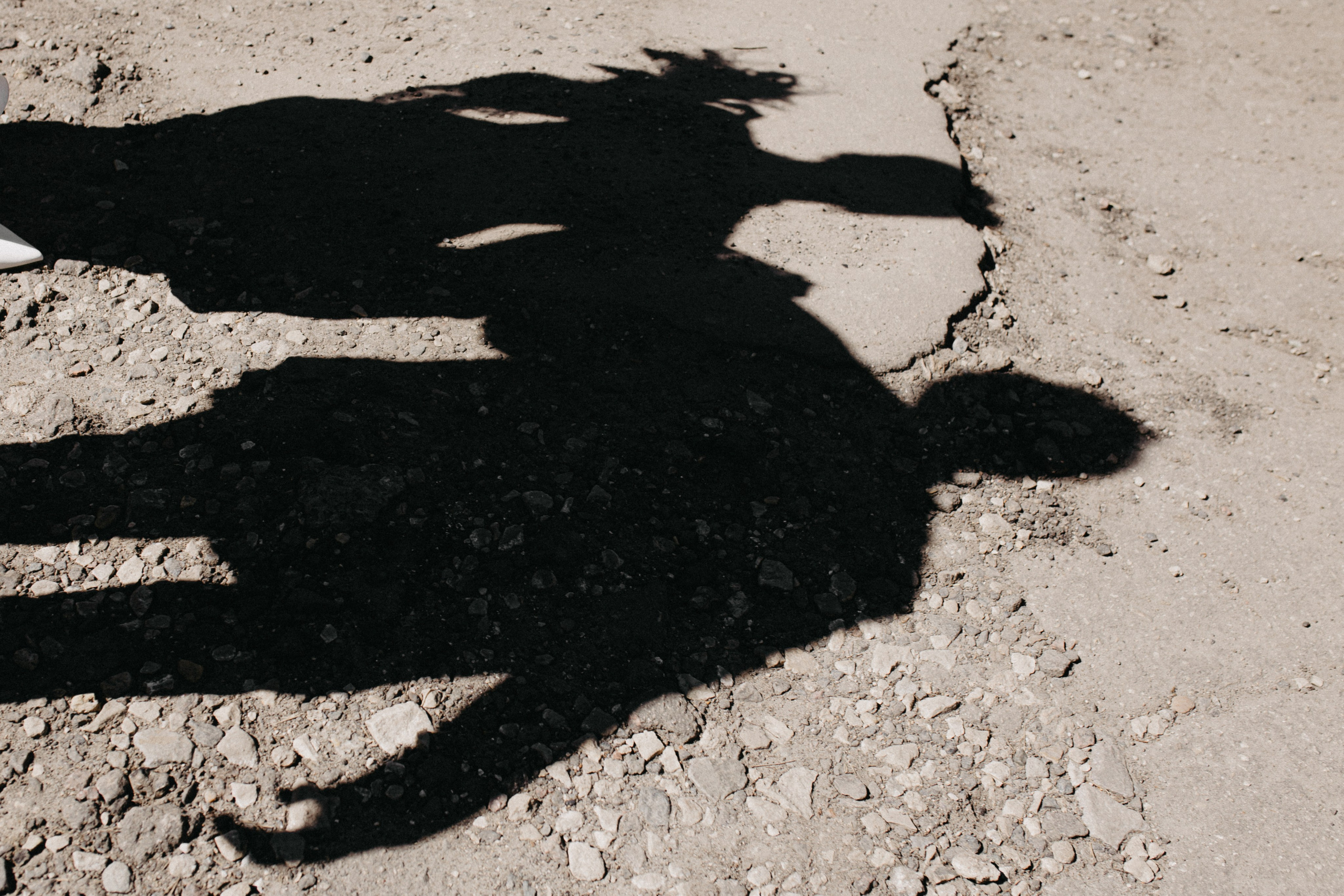 Свадьба Маши и Димы. Свадебный и семейный фотограф Женя Добрянская в Нижнем Новгороде