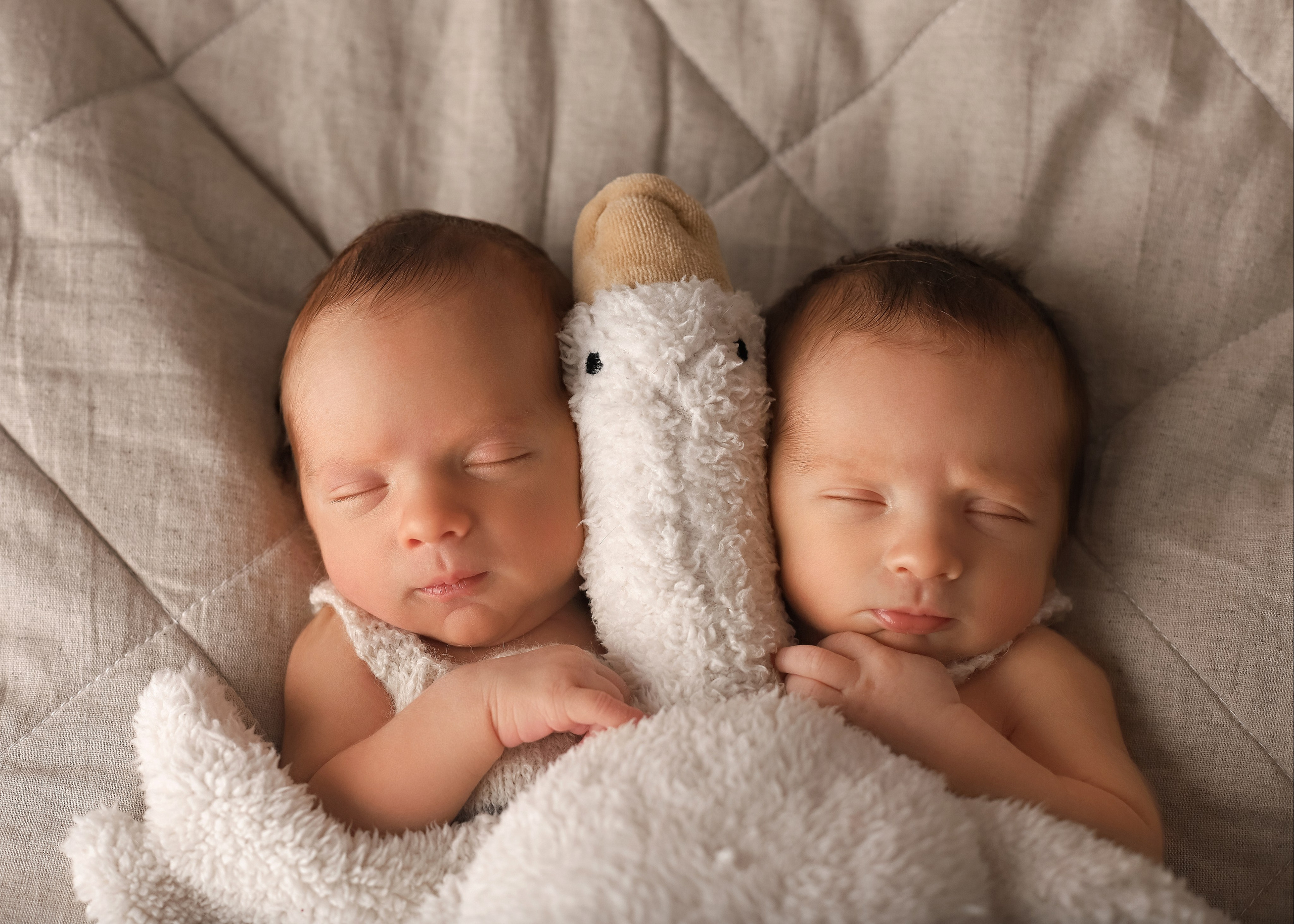 Двойни/близнецы. Детский фотограф в Москве и Московской области