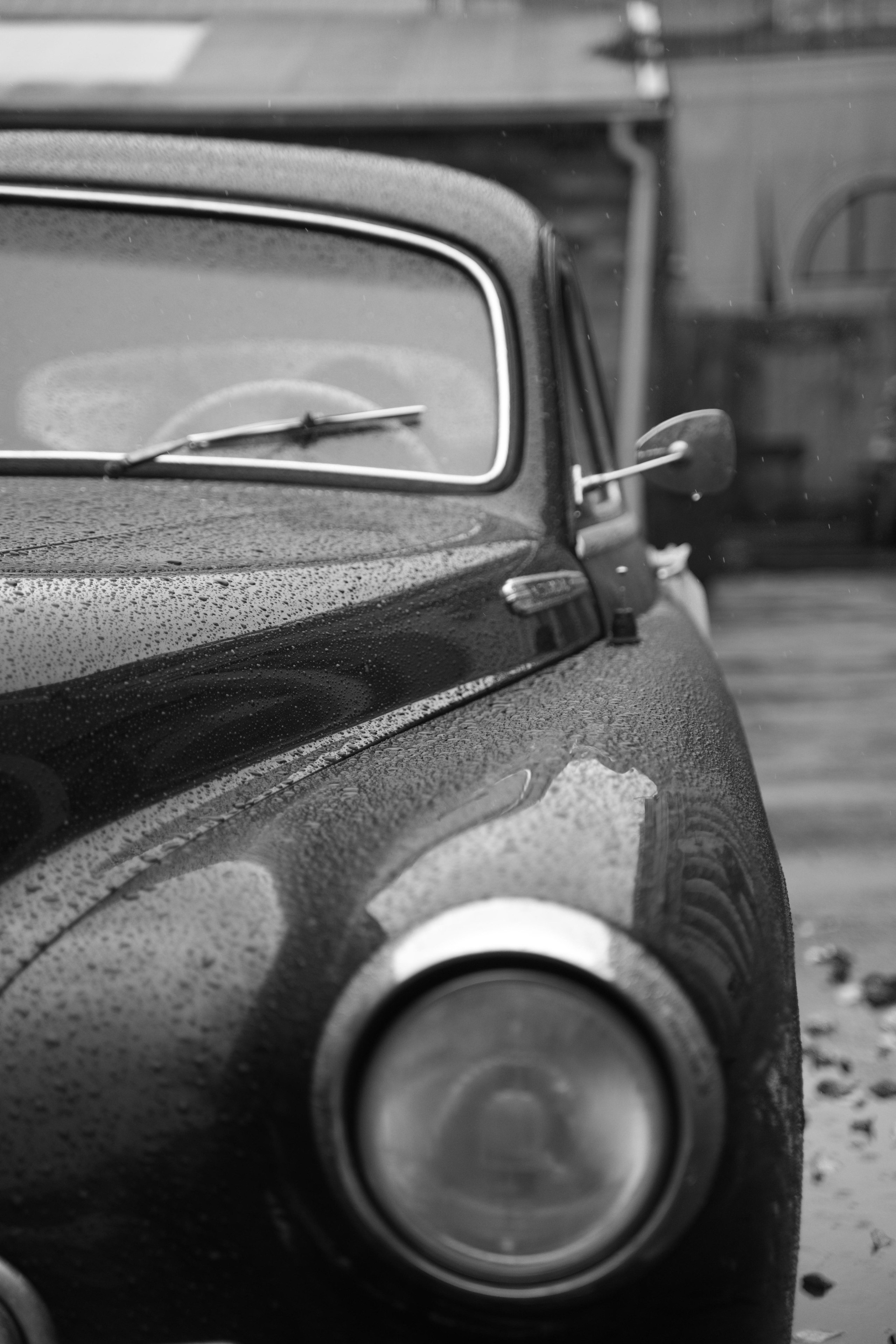 Максим и Элла. Свадебный и портретный фотограф в Москве Гудумак Евгений